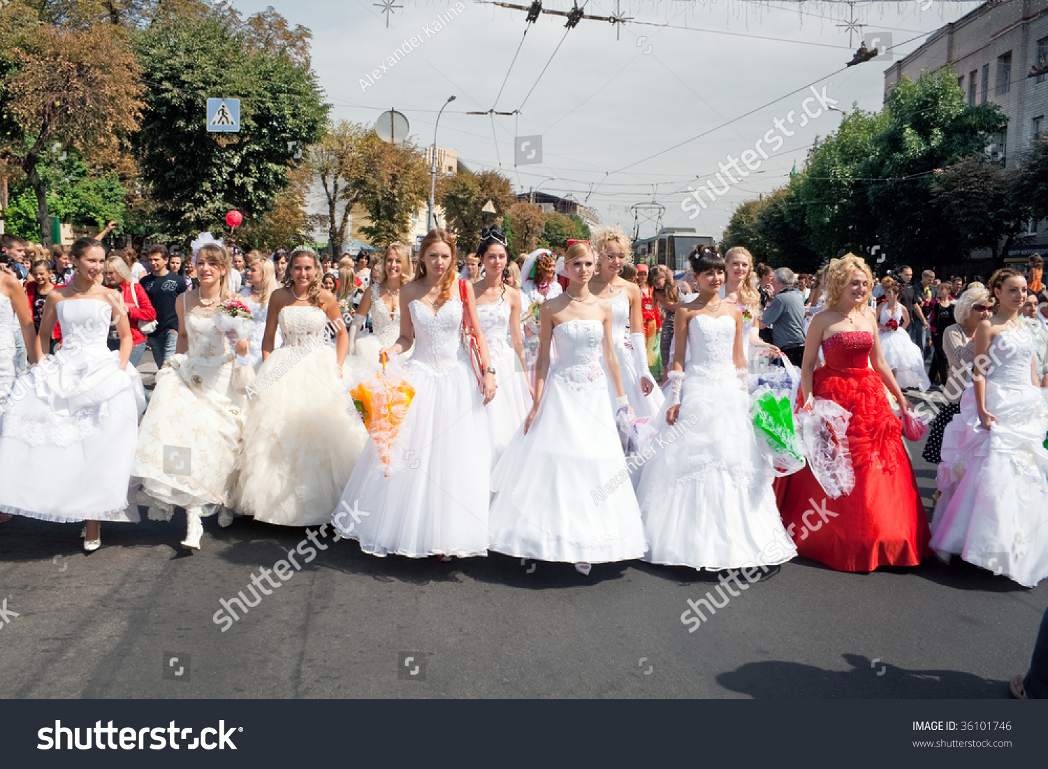 City-of-brides
