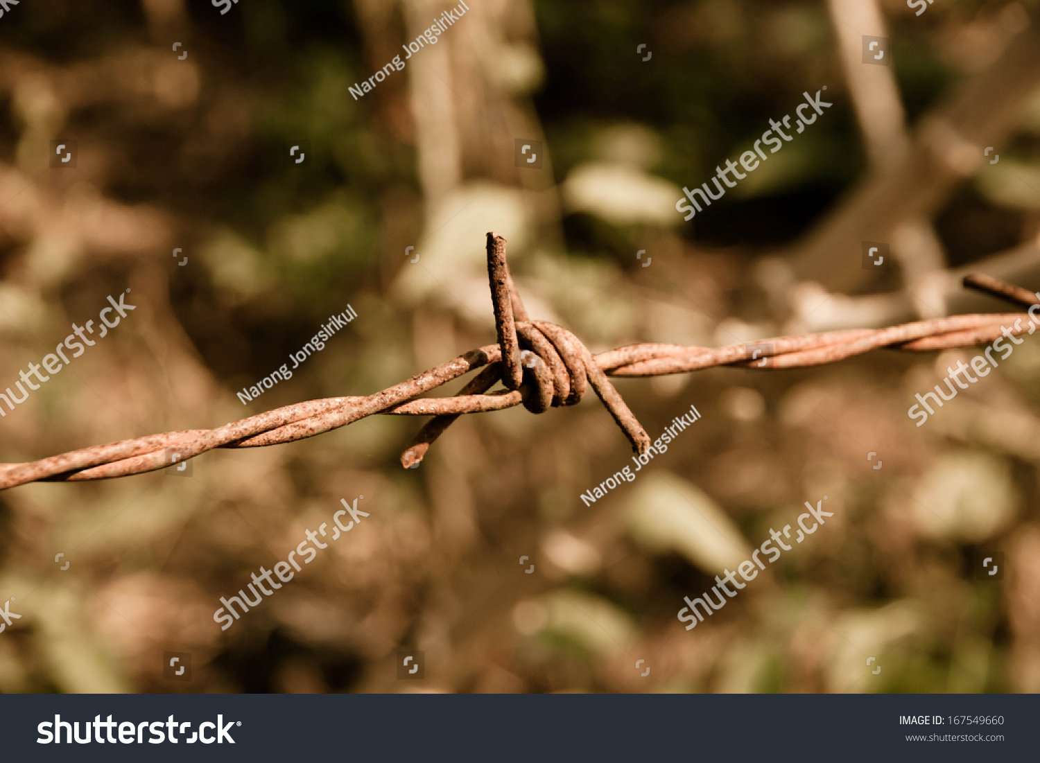 vintage barbed wire