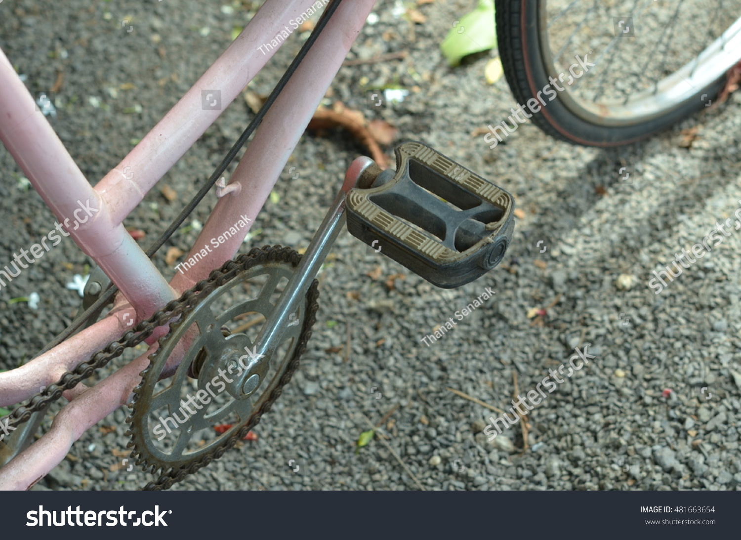 vintage bicycle stand