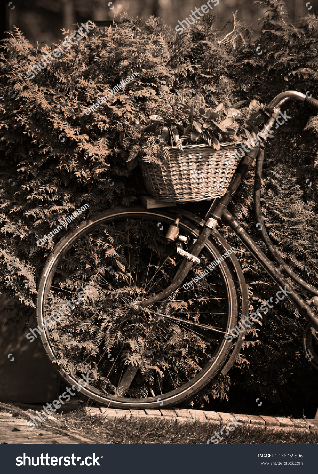 bike basket wilko