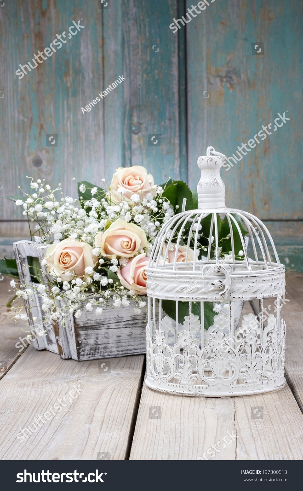 Vintage Birdcage Beautiful Pink Roses Gypsophila Stock Photo Edit