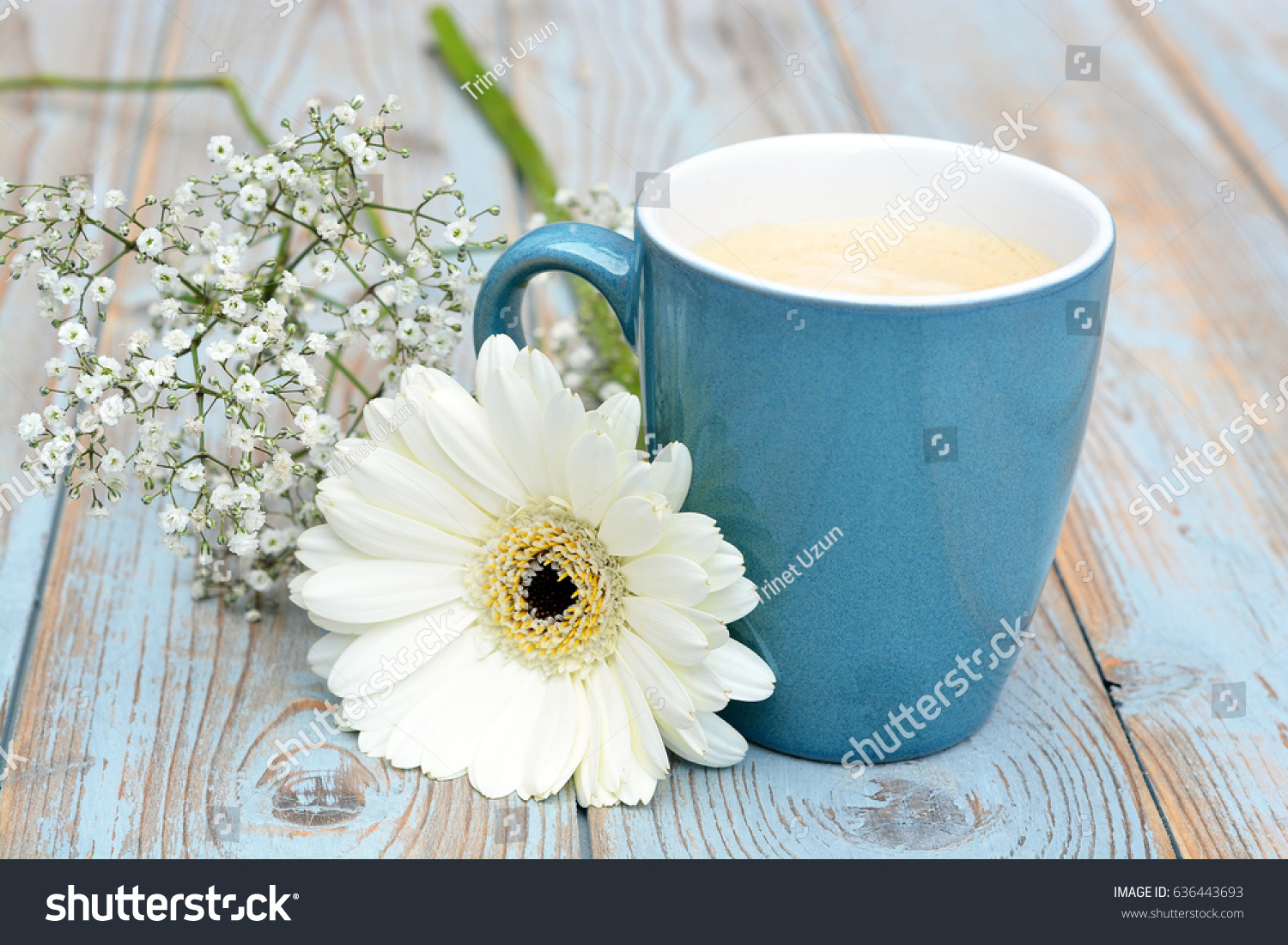 Vintage Blue Coffee Cup White Gerber Stock Photo 636443693 | Shutterstock