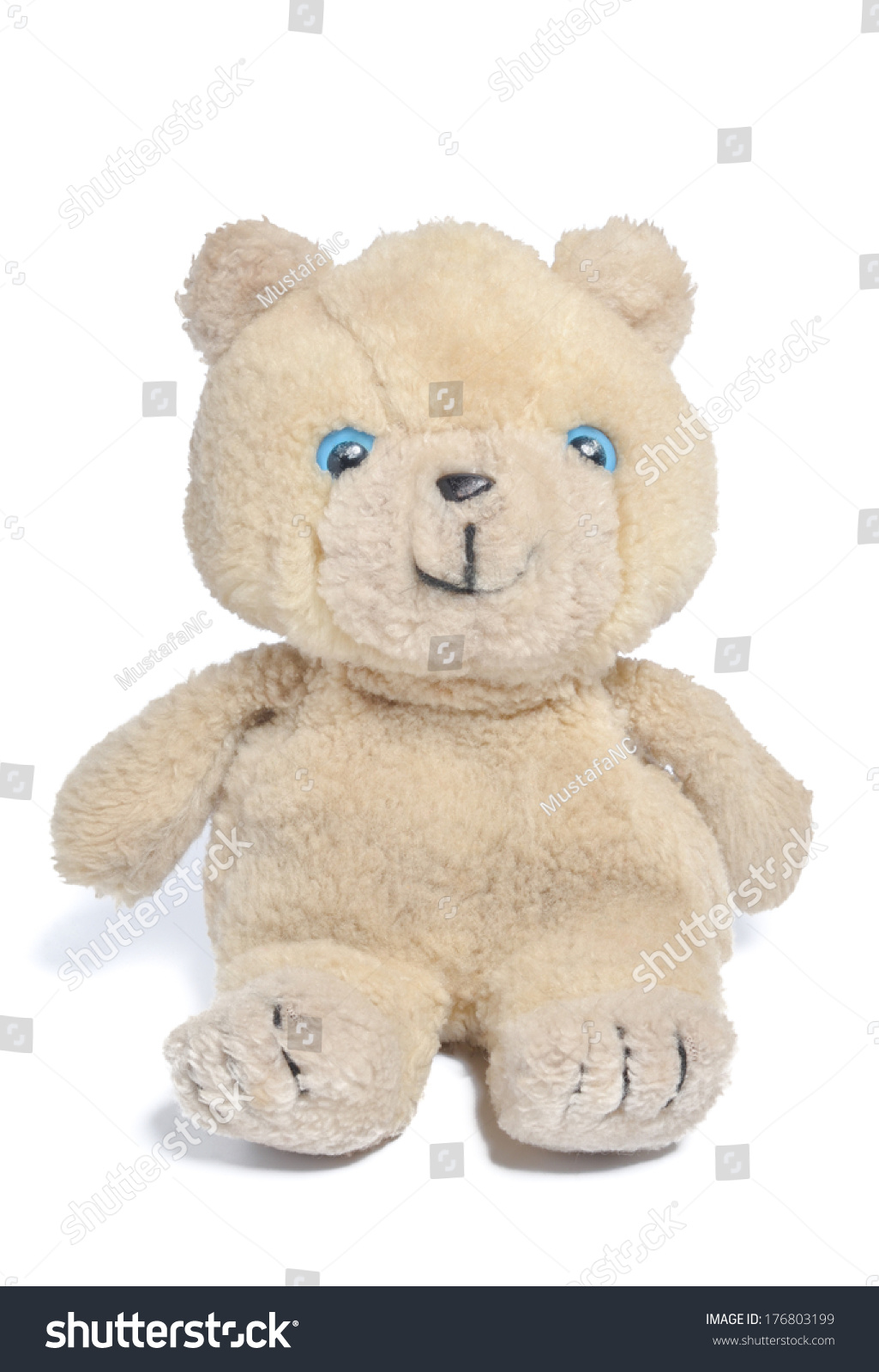 blue eyed teddy bear