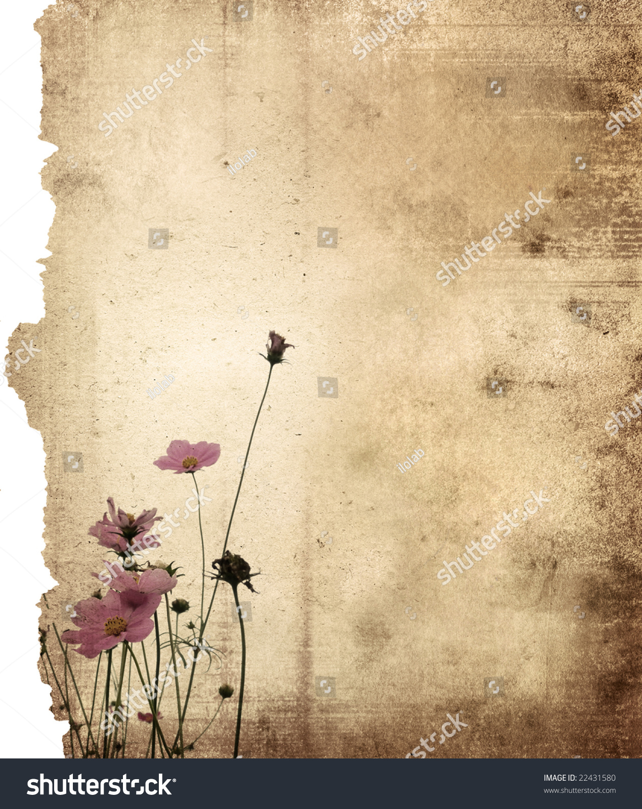 vintage flower paper background stock photo edit now 22431580 vintage flower paper