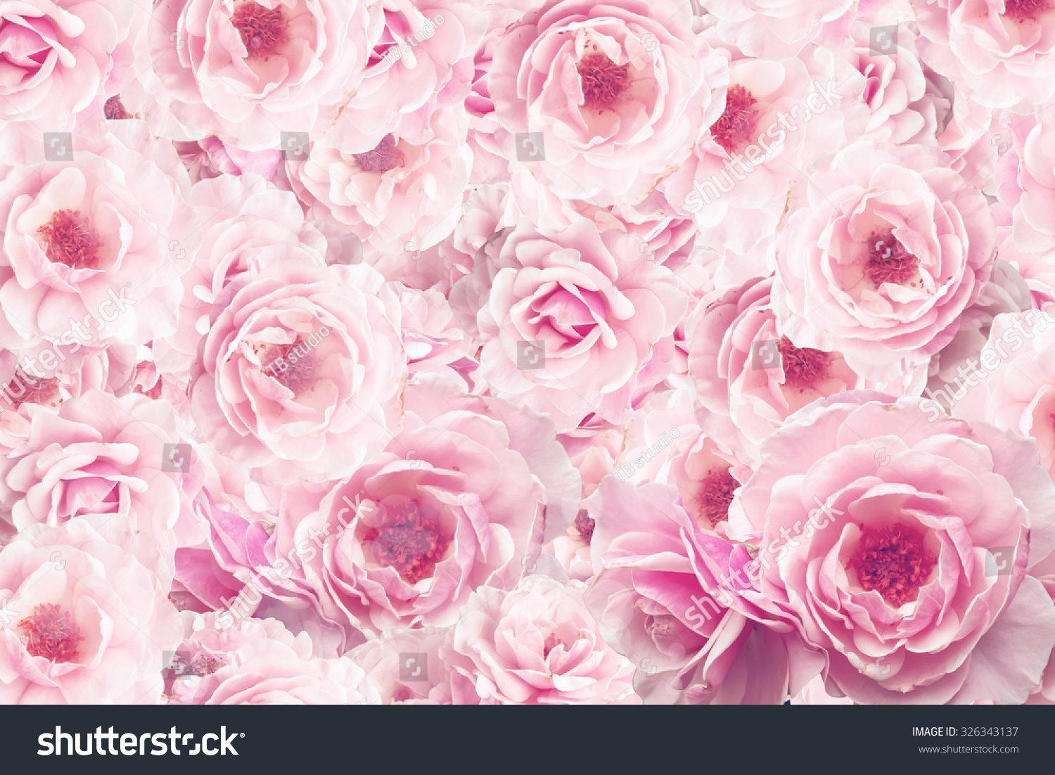 Vintage Old Flower Backgrounds Vintage Effect Stock Photo Edit Now