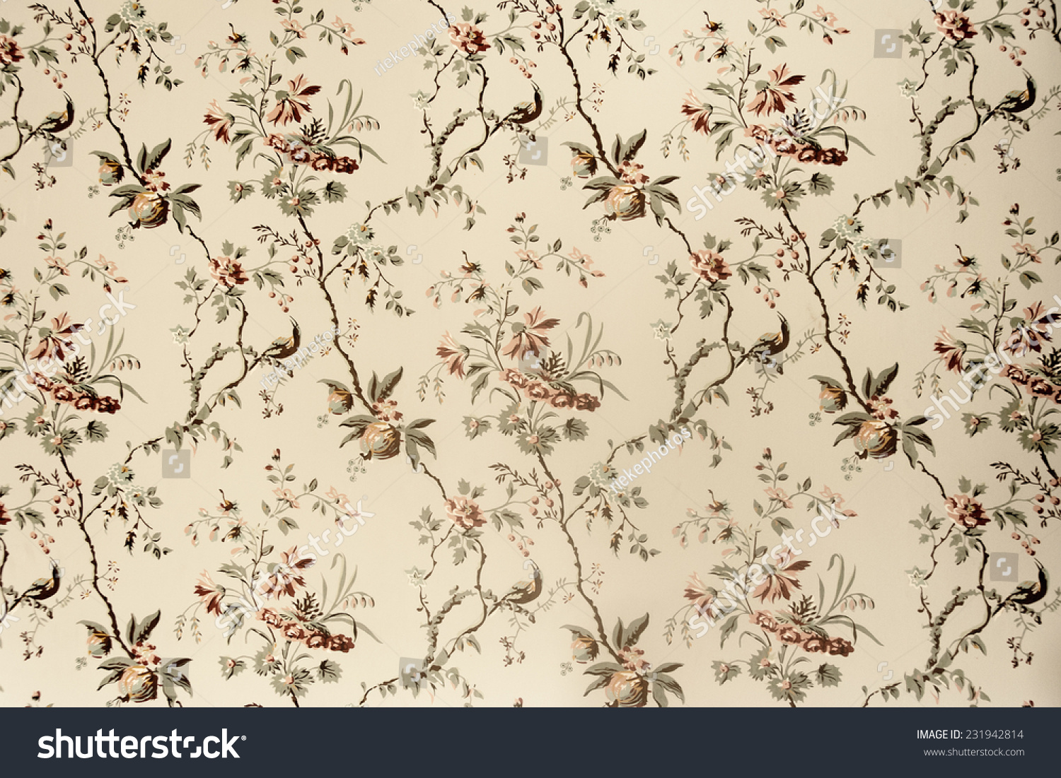 Vintage Wallpaper Floral Pattern 18th Century Stock Photo (Edit Now