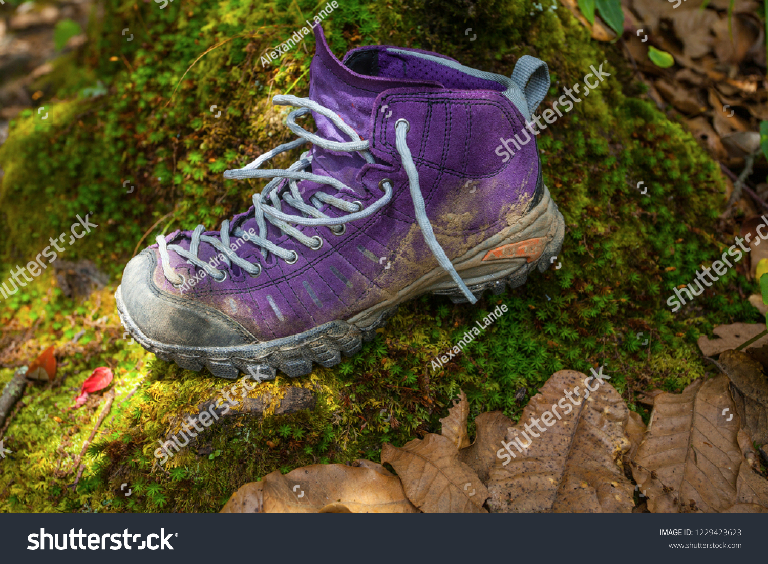 id nature shoes