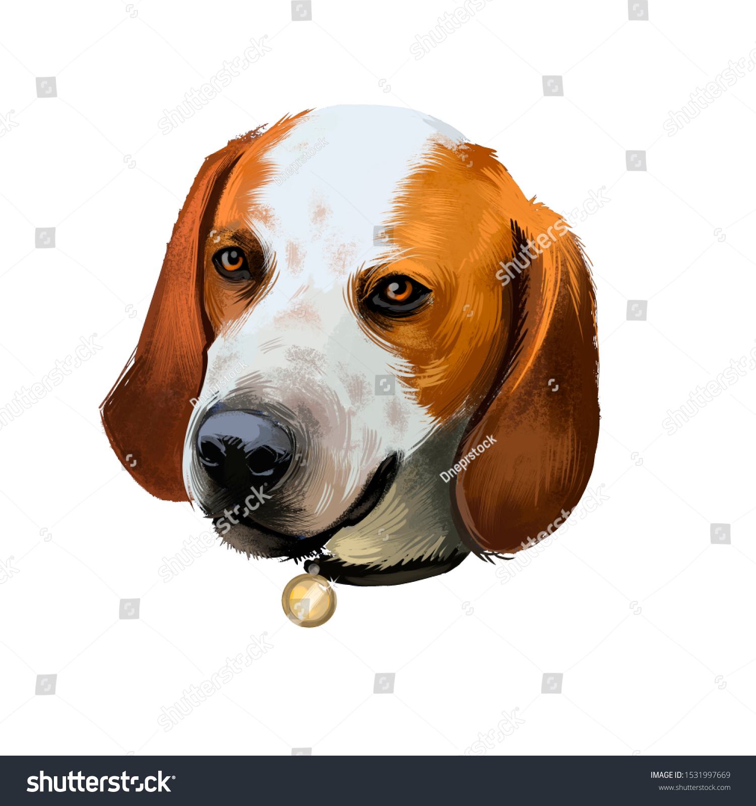 Virginia Foxhound Black Tan Dog Digital Stock Illustration 1531997669