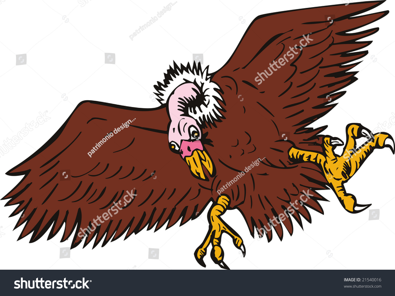 Vulture Swooping Down Stock Photo 21540016 : Shutterstock