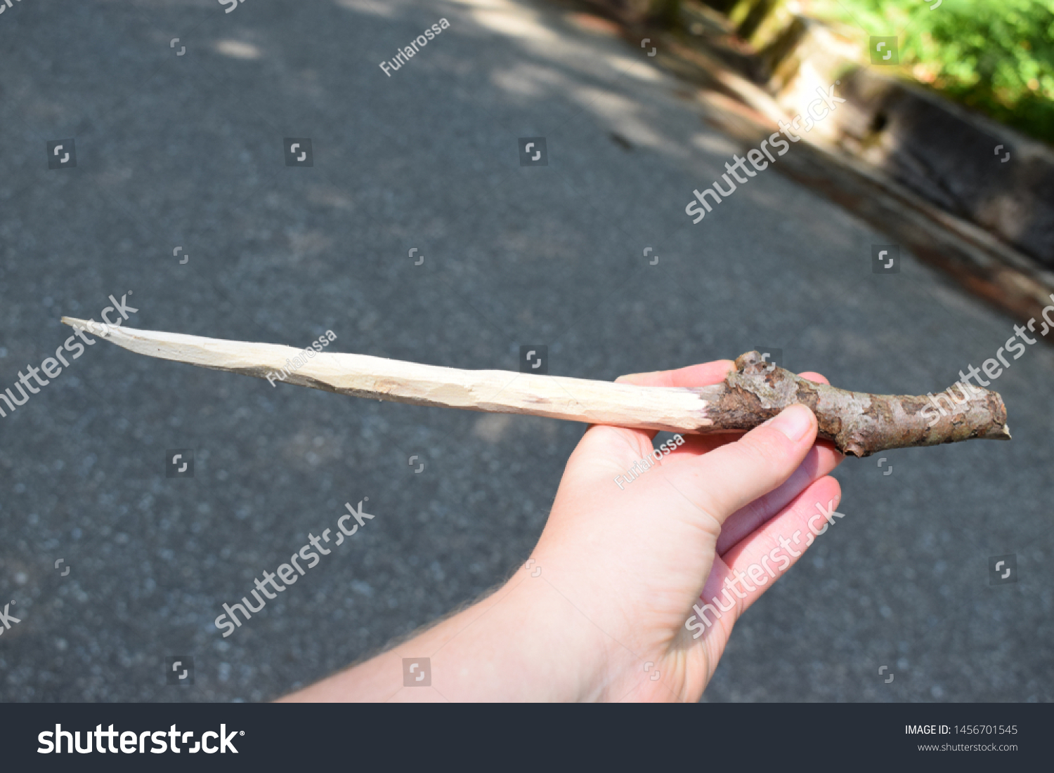 Wand Made Beech Wood Held Hand Stock Photo Edit Now