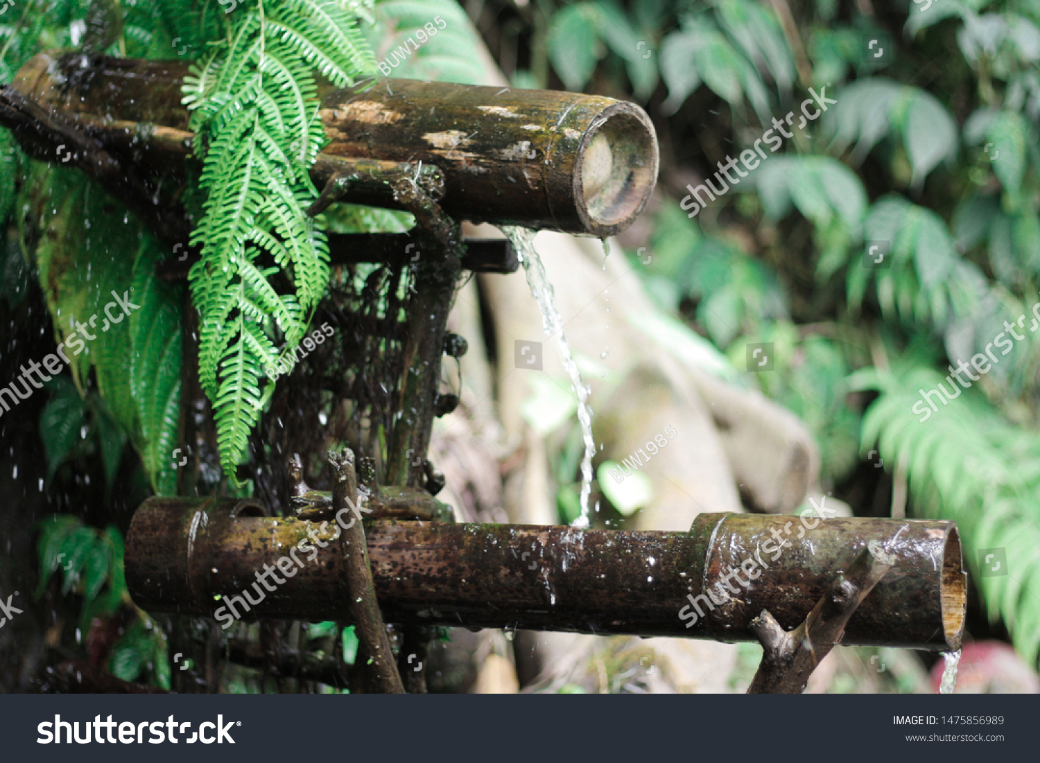 Water Bamboo Watergame Waterfall Asia Royalty Free Stock Image