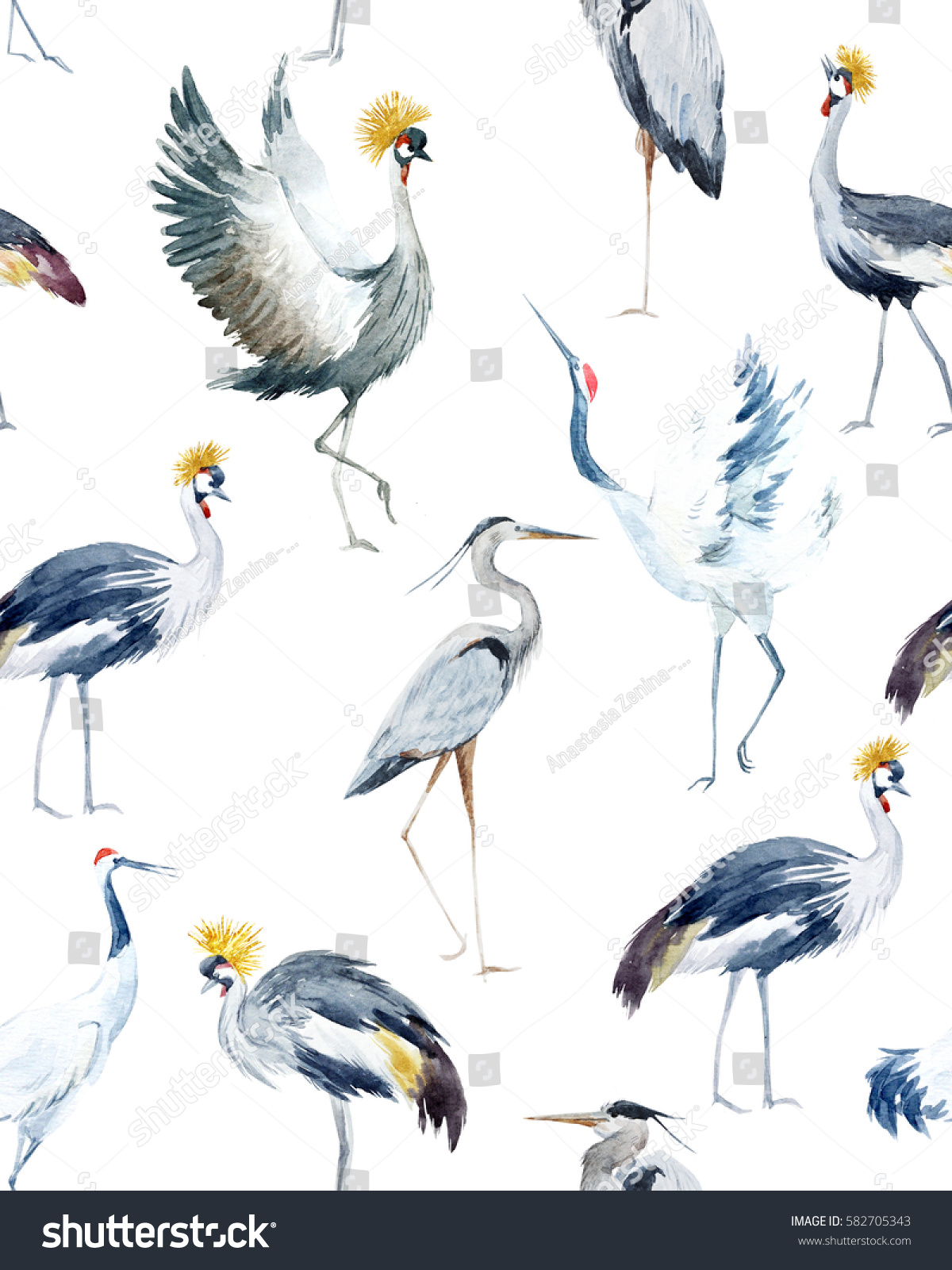 鳥の水彩柄 アフリカ産のクレーン 白い鶴 グレイのサギ 鳥の壁紙 のイラスト素材