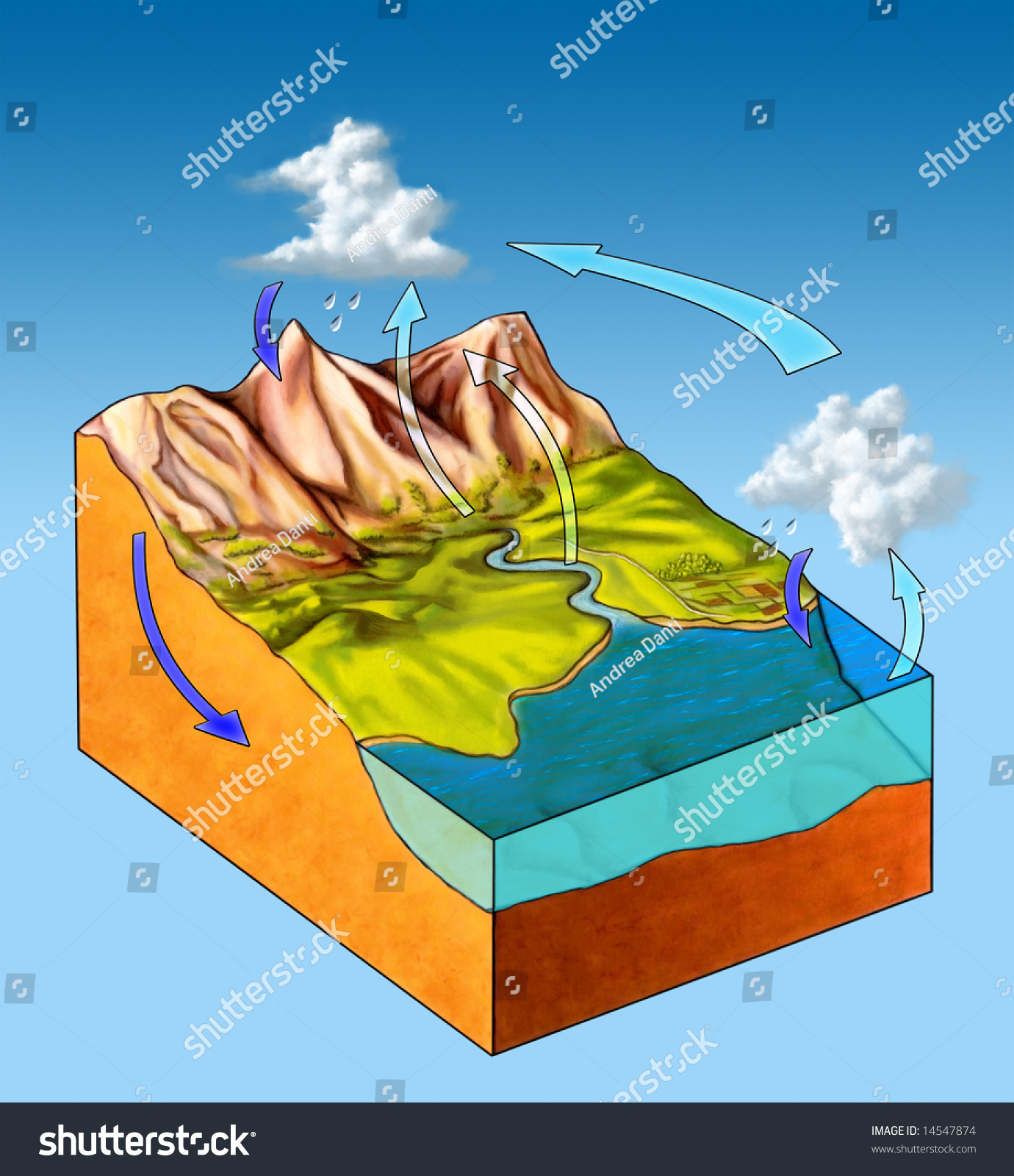 Water Cycle Diagram. Digital Illustration. - 14547874 : Shutterstock