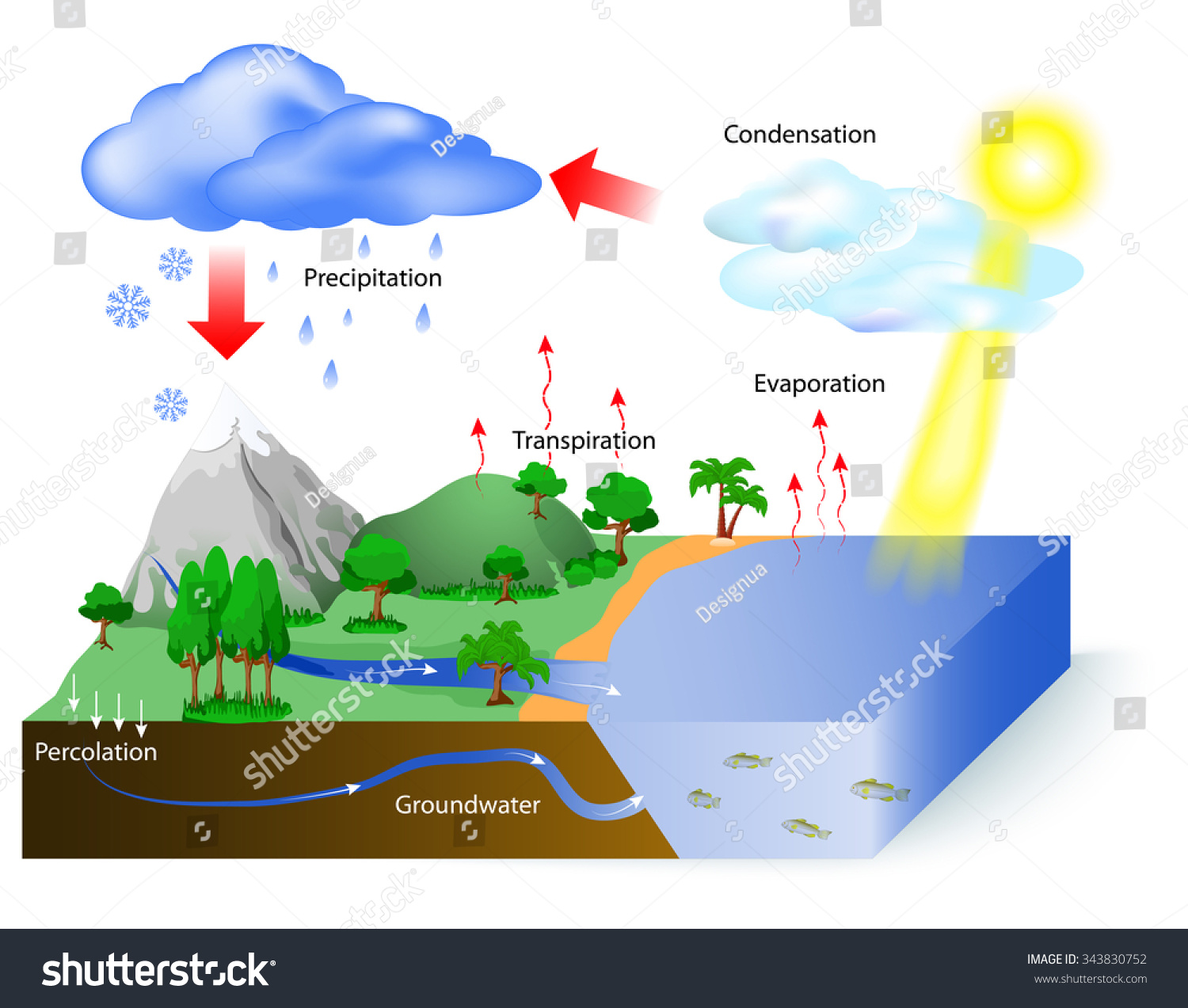 Water Cycle Diagram Sun Which Drives Stock Illustration ... simplified diagram of global warming 