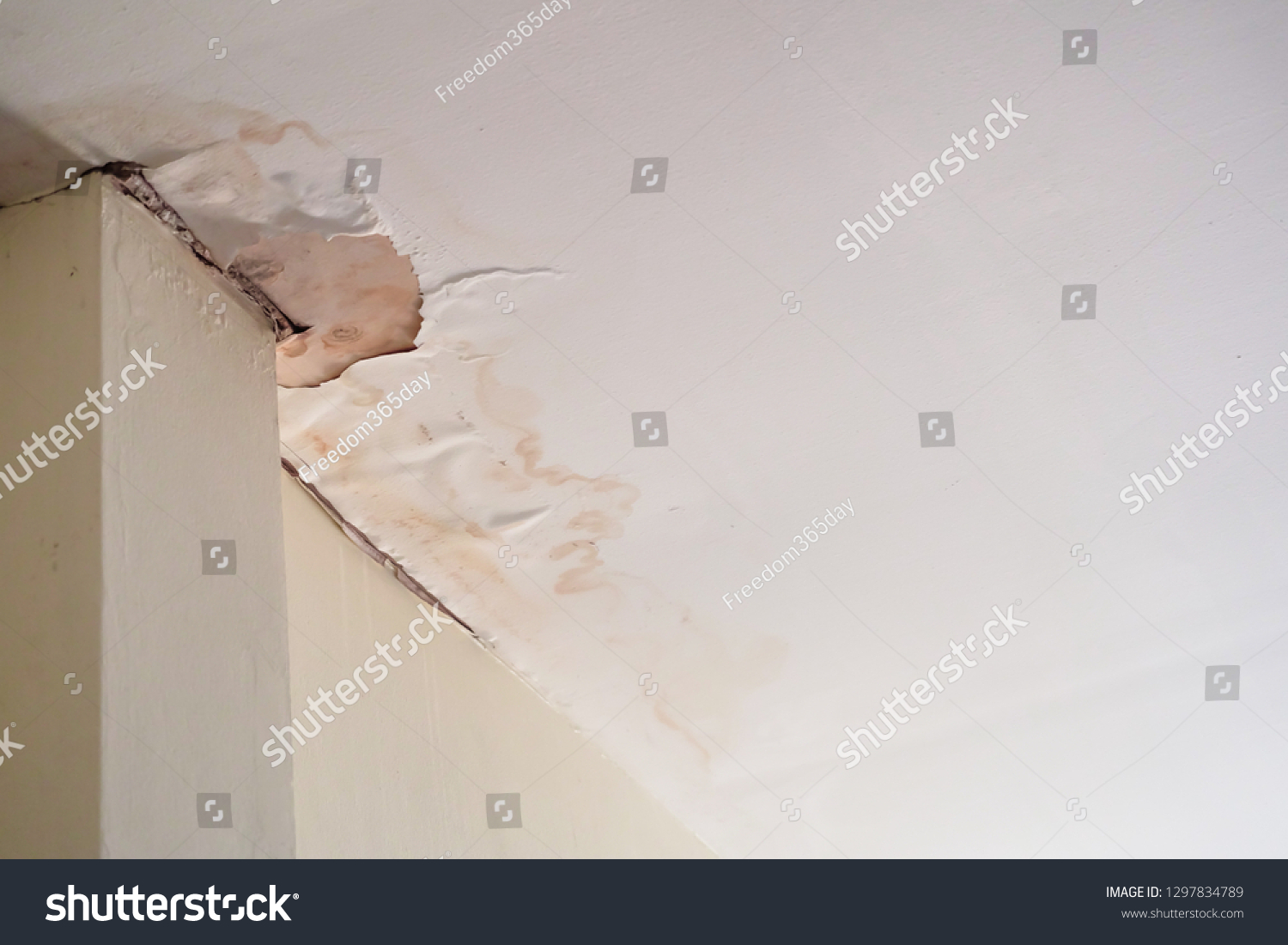 Water Damaged Ceiling Roof Brown Stain Stock Photo Edit Now