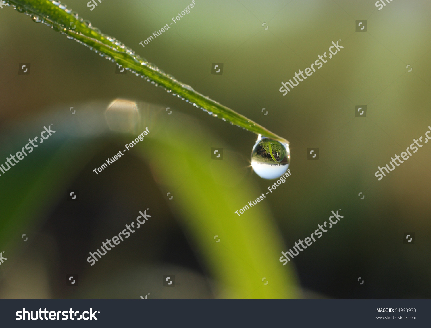 Water Drop Mirror Reflection Stock Photo 54993973 : Shutterstock