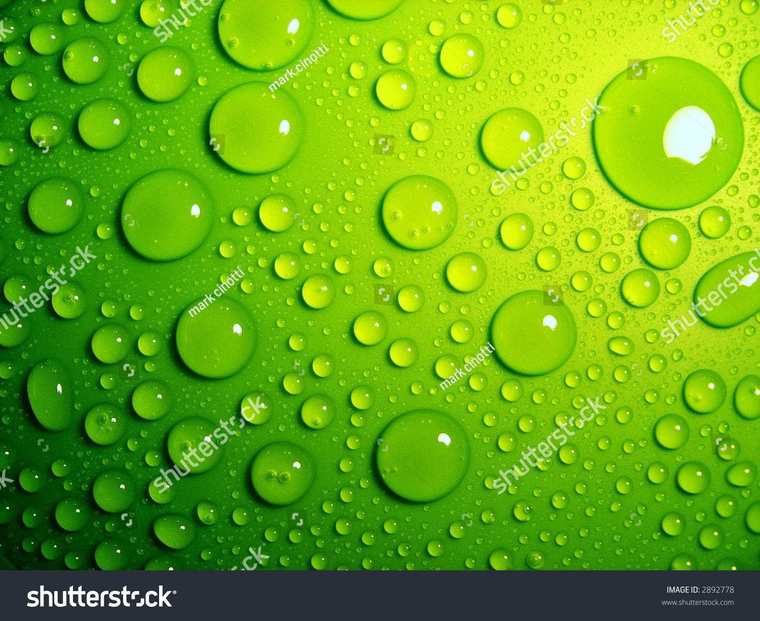 Water-Drops On Green Stock Photo 2892778 : Shutterstock