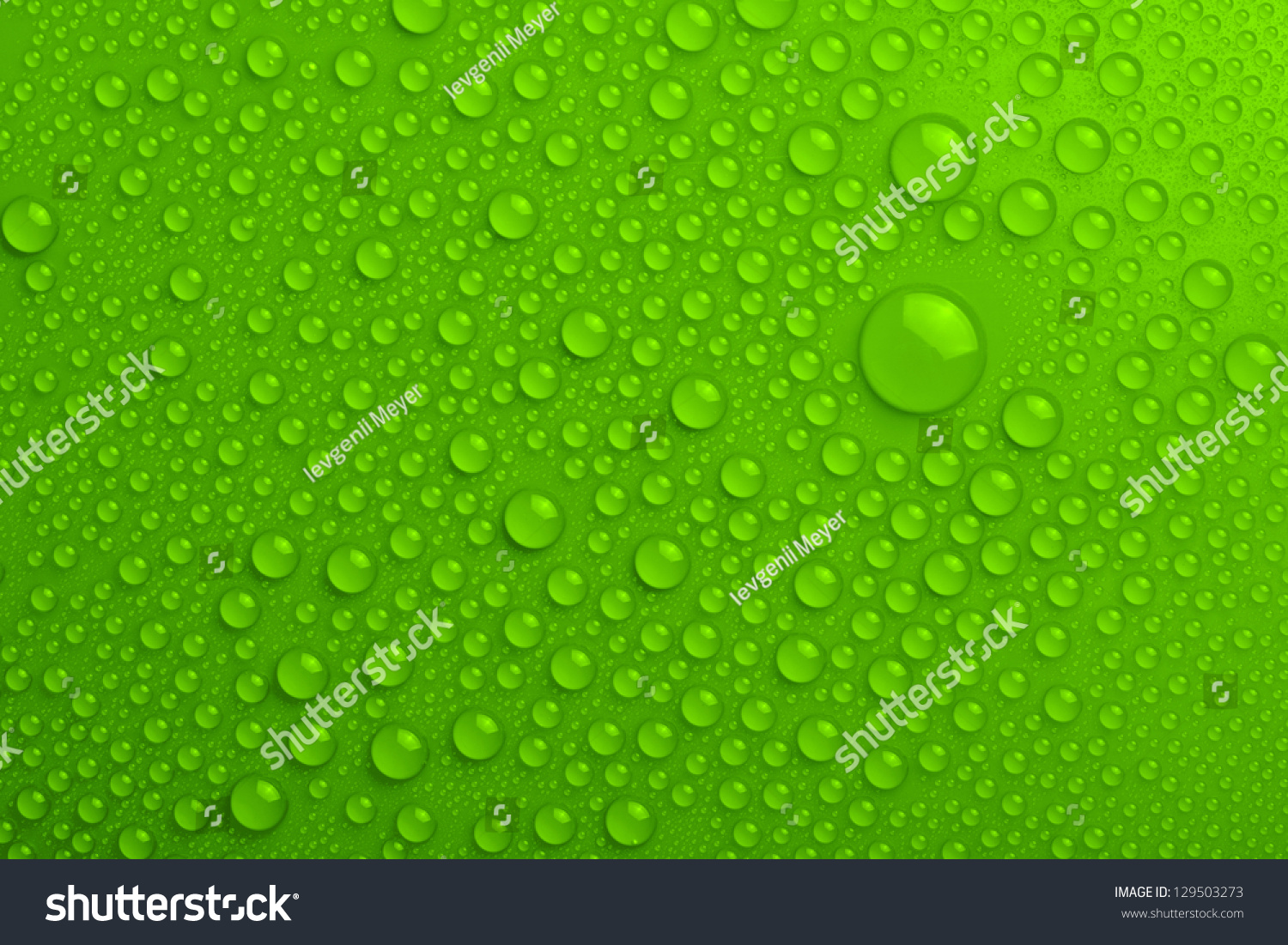 Water Drops On Green Background Stock Photo 129503273 : Shutterstock