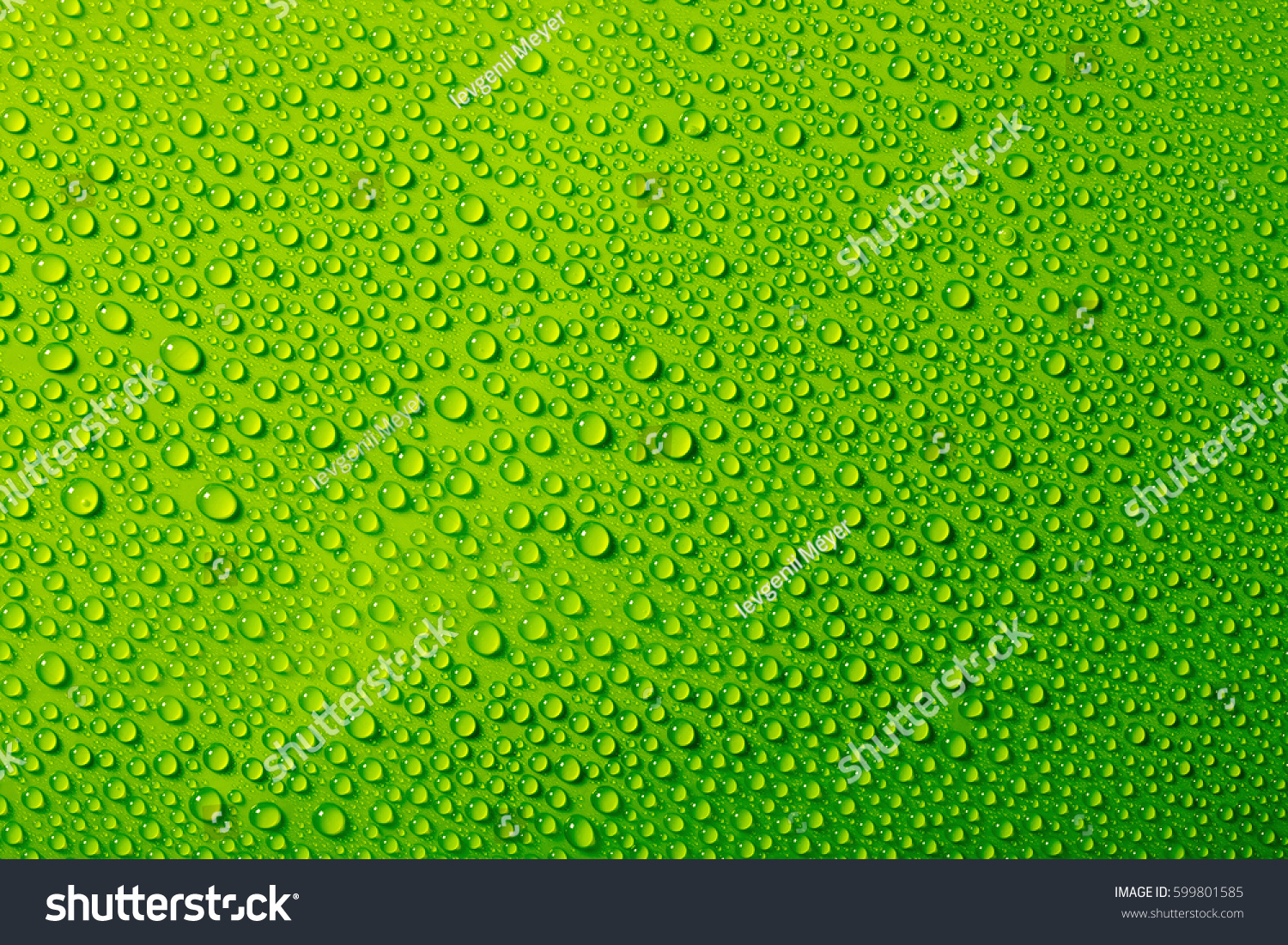 995,758 Water drop green Stock Photos, Images & Photography | Shutterstock
