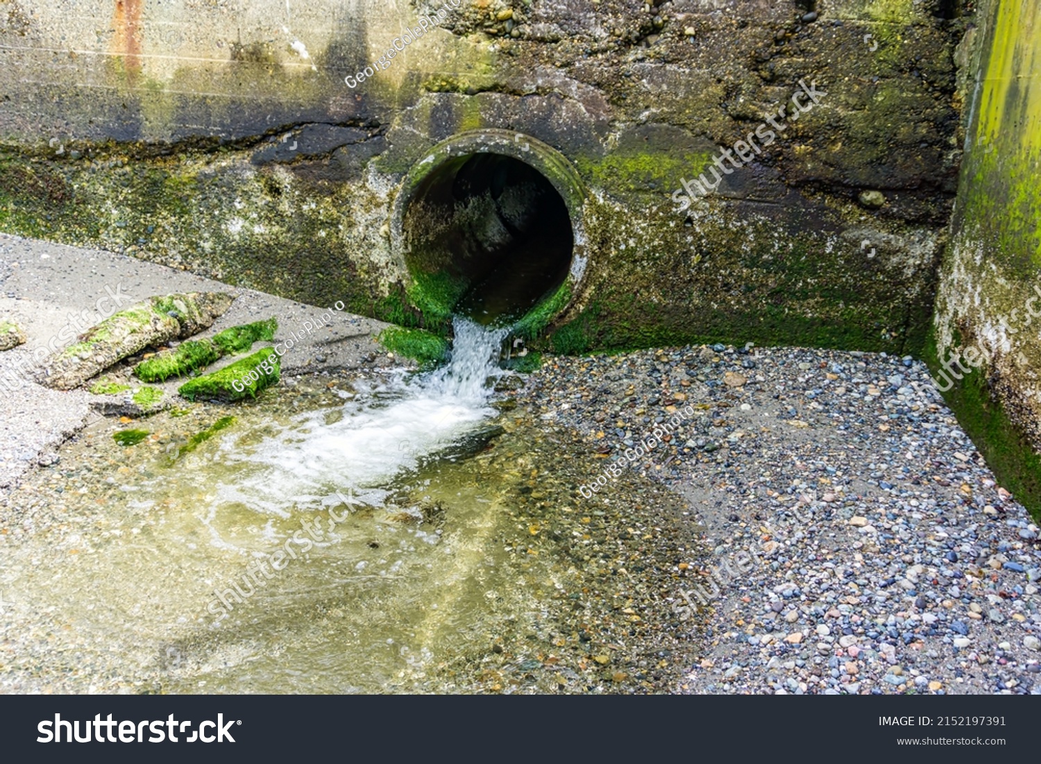 Water Flows Throught Pipe Onto Shoreline Stock Photo 2152197391 