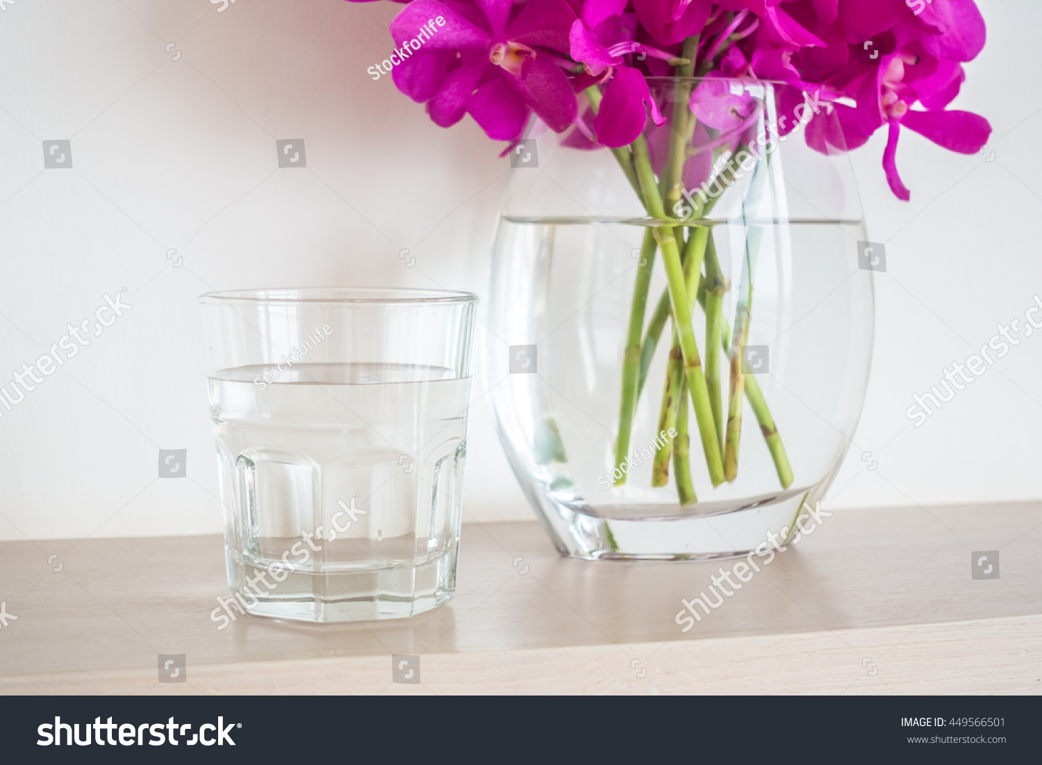 Water Glass Orchid Flower Vase Stock Photo Edit Now 449566501