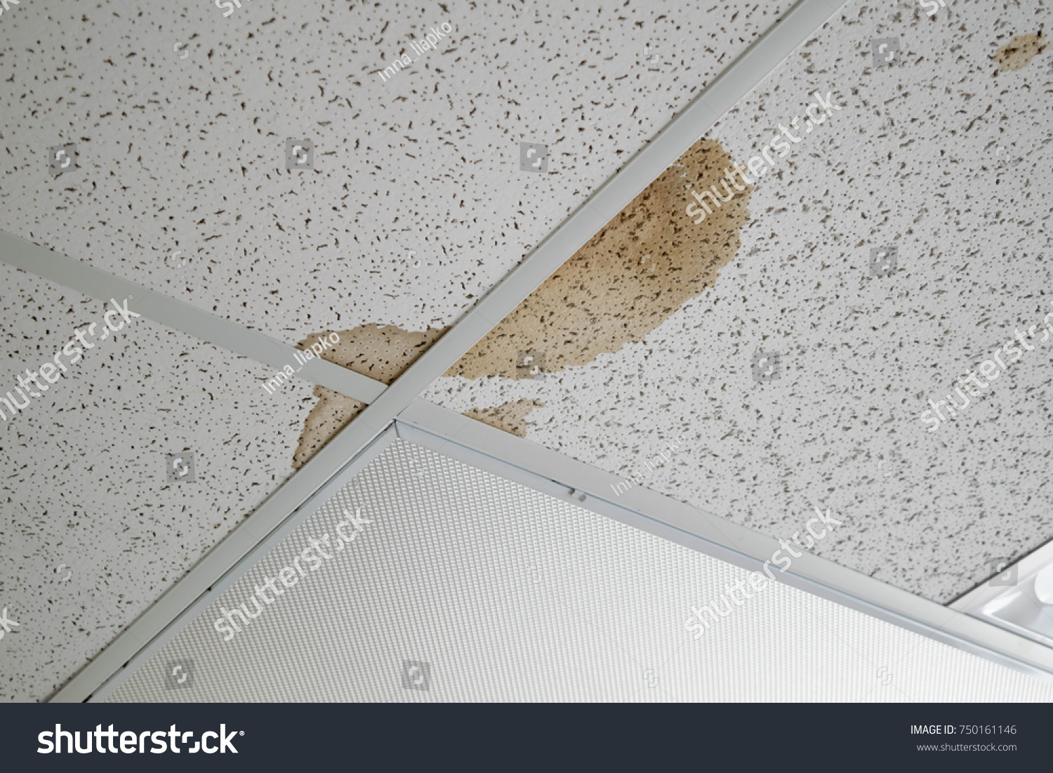Water Leak On Ceiling Tiles Damaged Stock Image Download Now