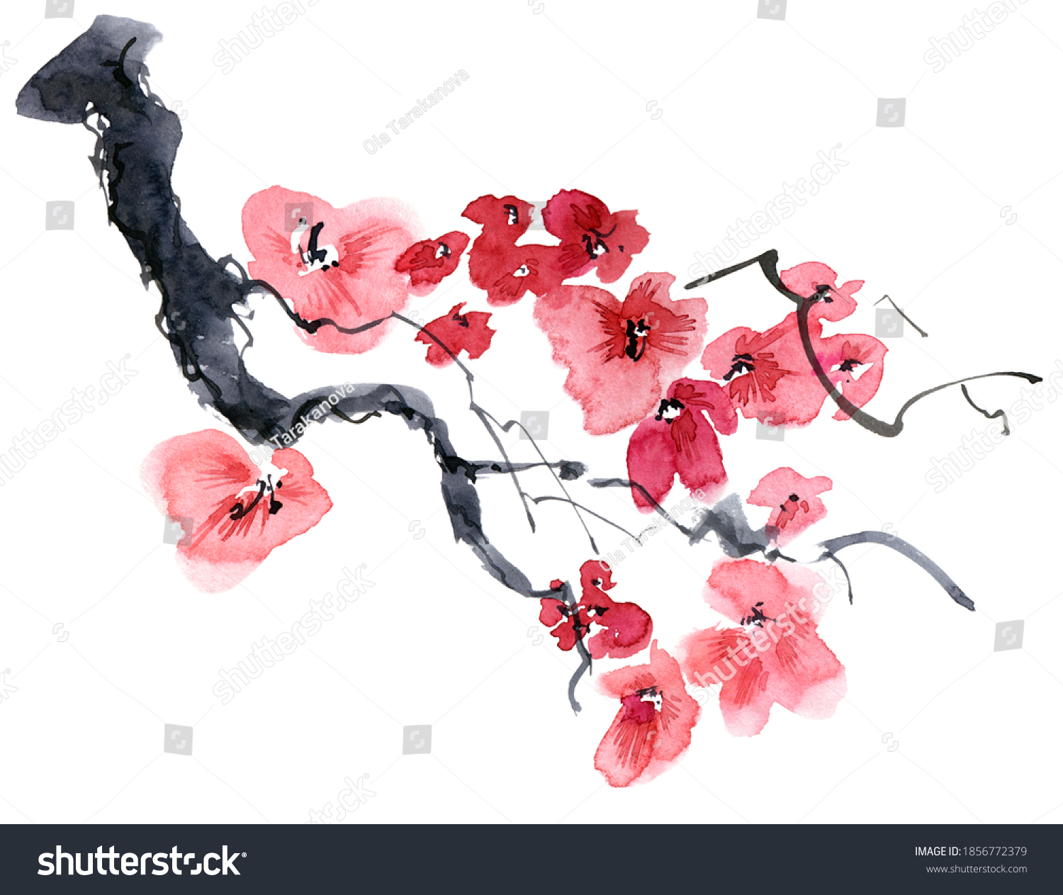 51,121 Watercolor japanese blossoms Images, Stock Photos & Vectors ...