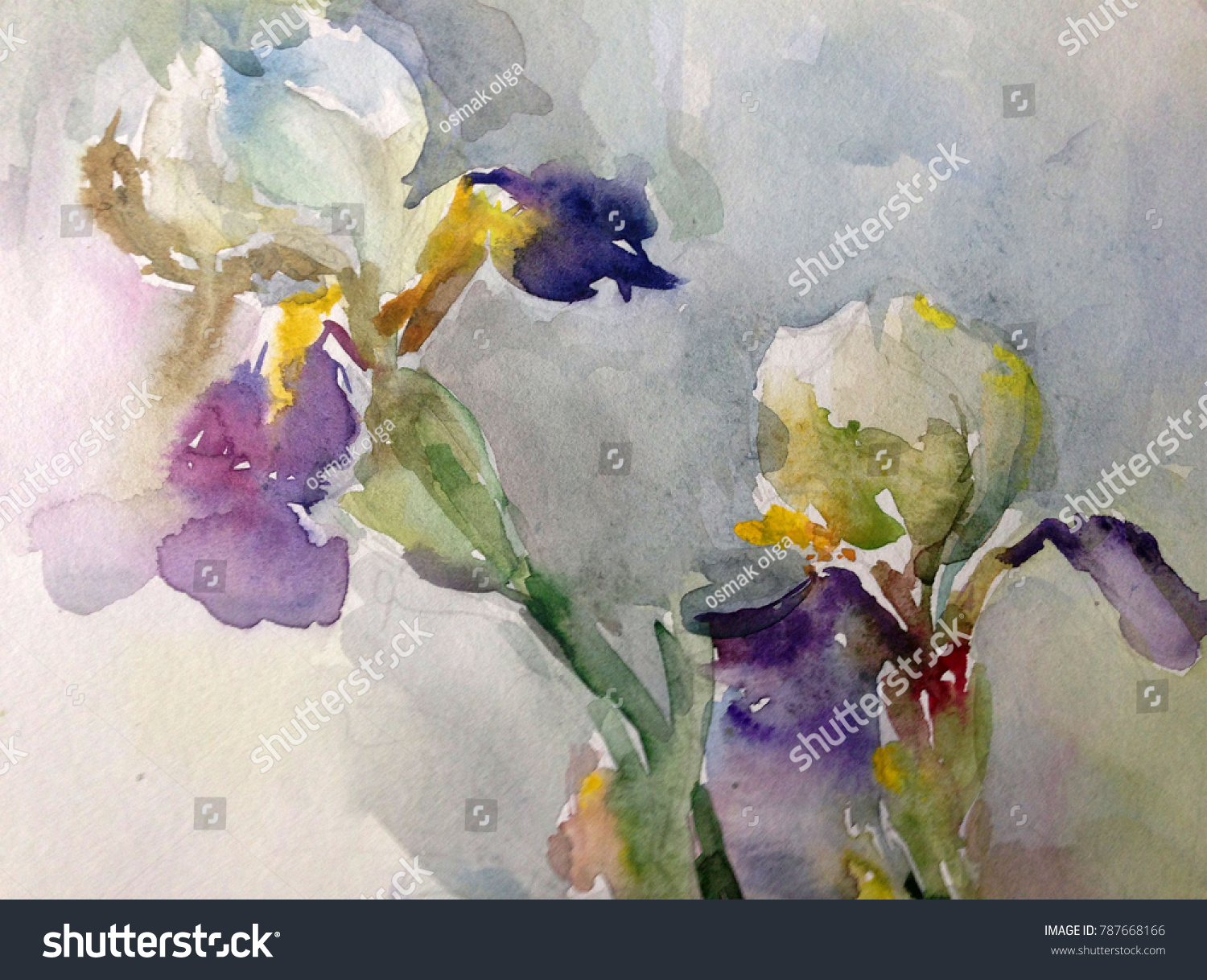Watercolor Art Background Floral Exotic Iris Stock Illustration 787668166