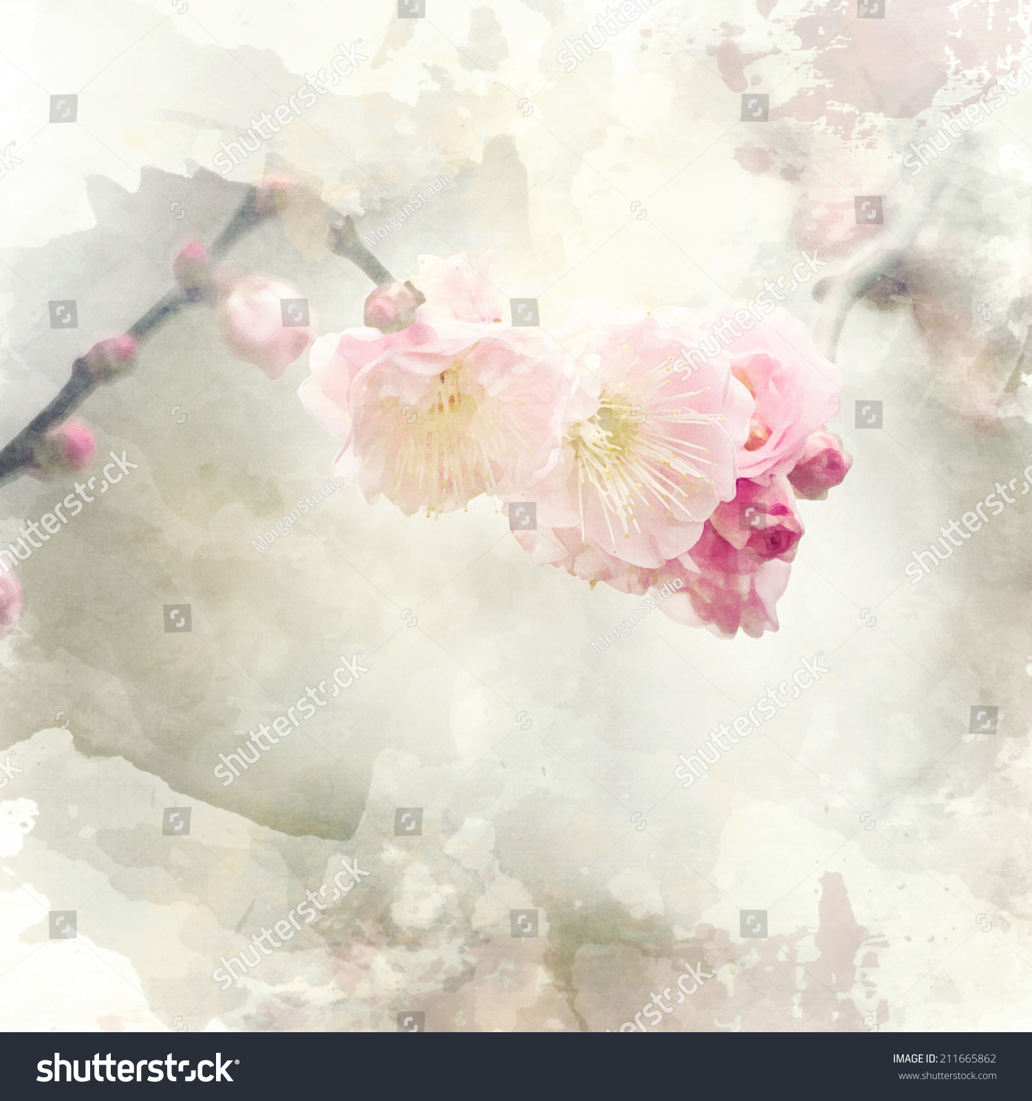 Watercolor Background Stock Photo 211665862 - Shutterstock