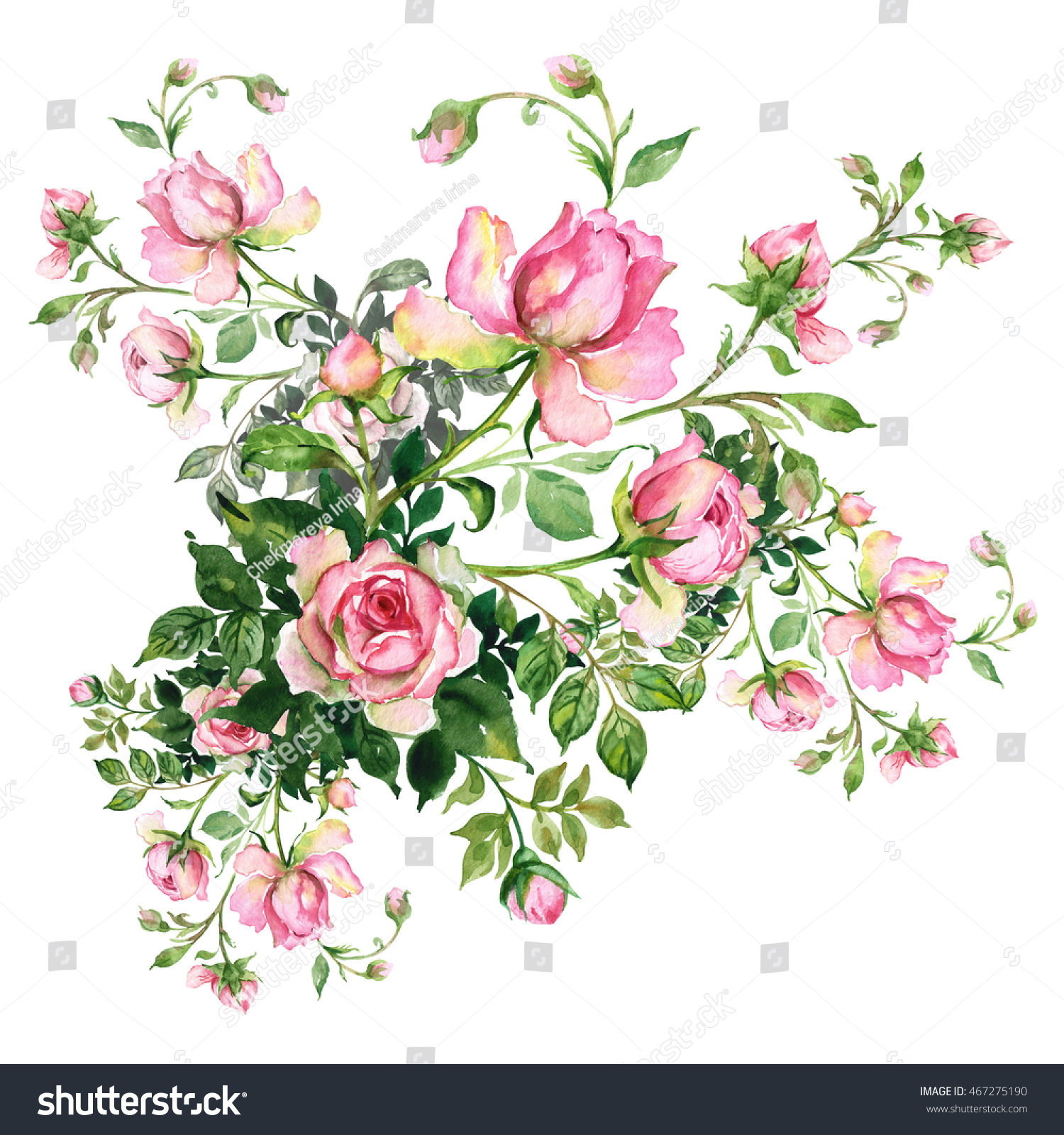 Watercolor Background Rosebud Bouquet Roses Buds Stock 