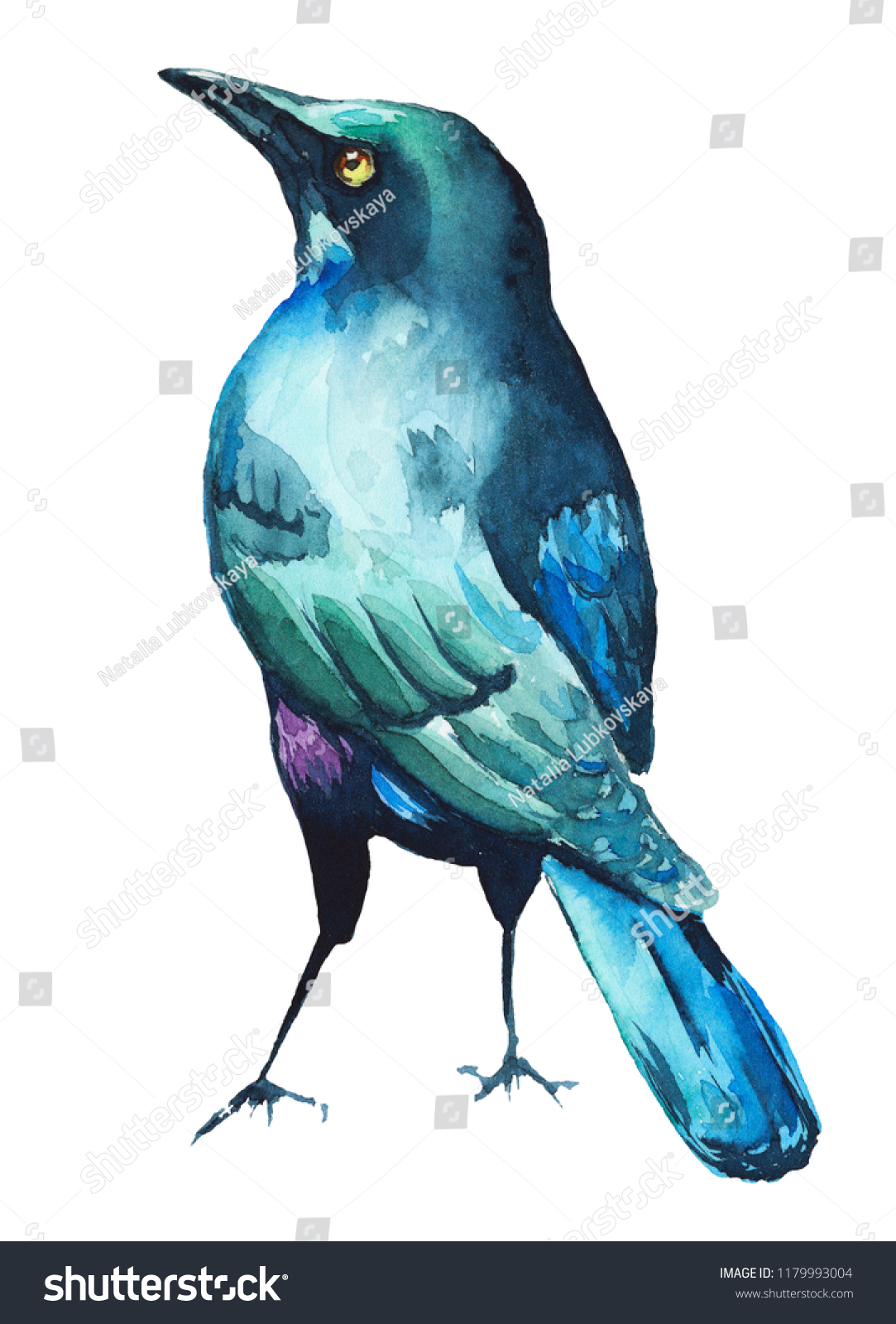 Watercolor Bird Illustration Stock Illustration 1179993004