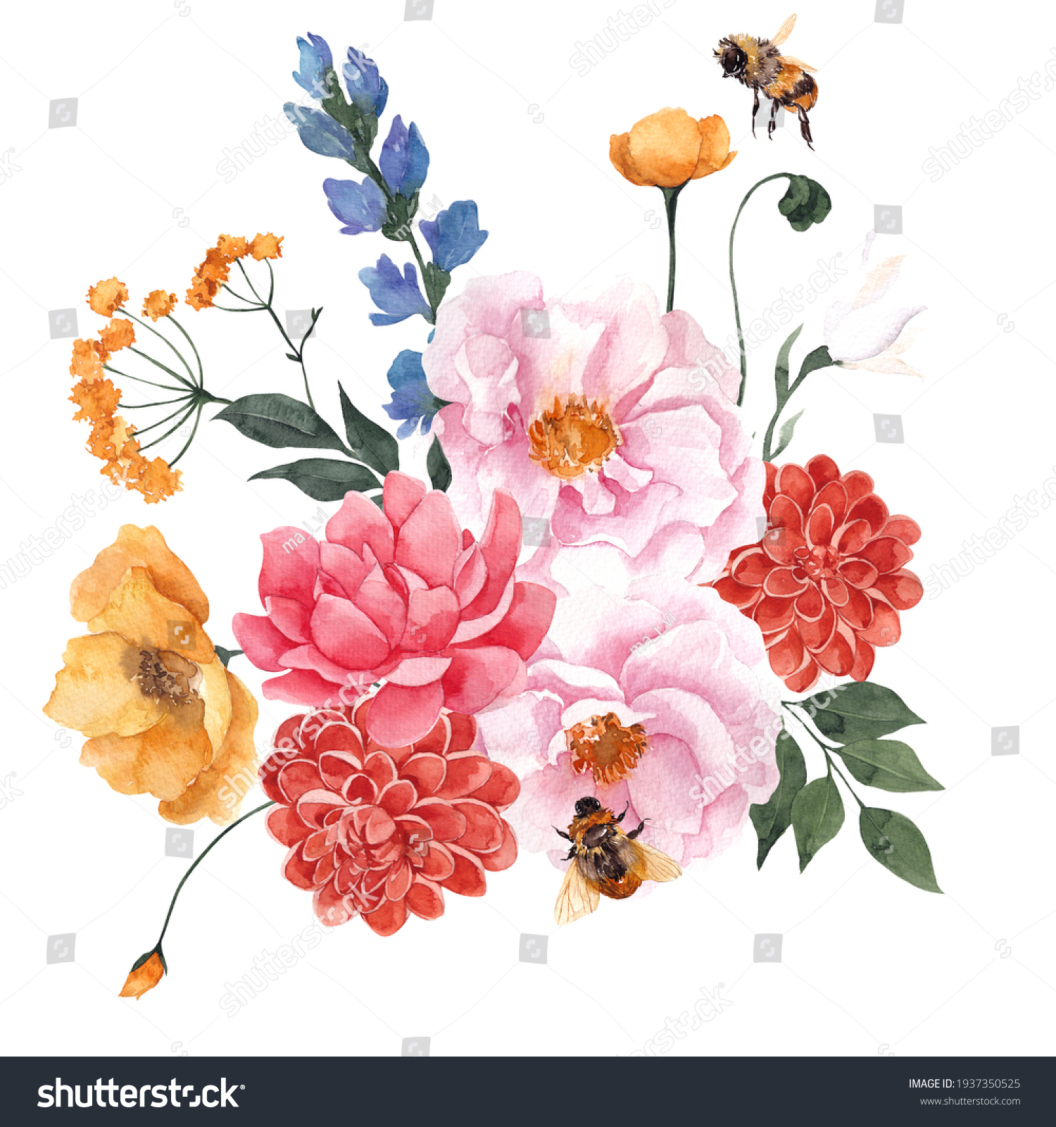 Watercolor Bouquet Wildflowers Herbs Leaves Isolated 库存插图 1937350525 Shutterstock 5279