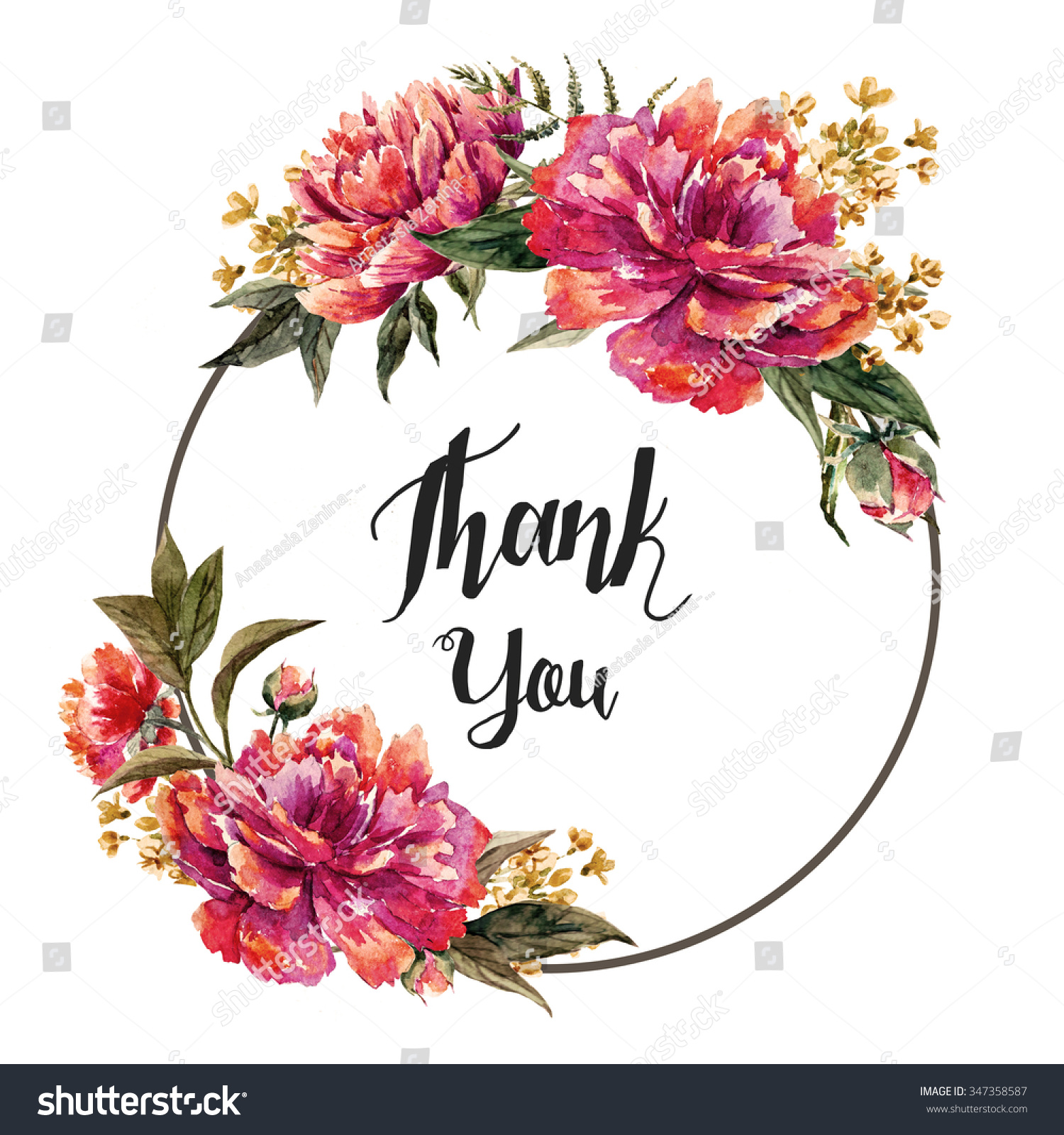 Watercolor Card Peony Flowers Thank You Stock Illustration 347358587 ...