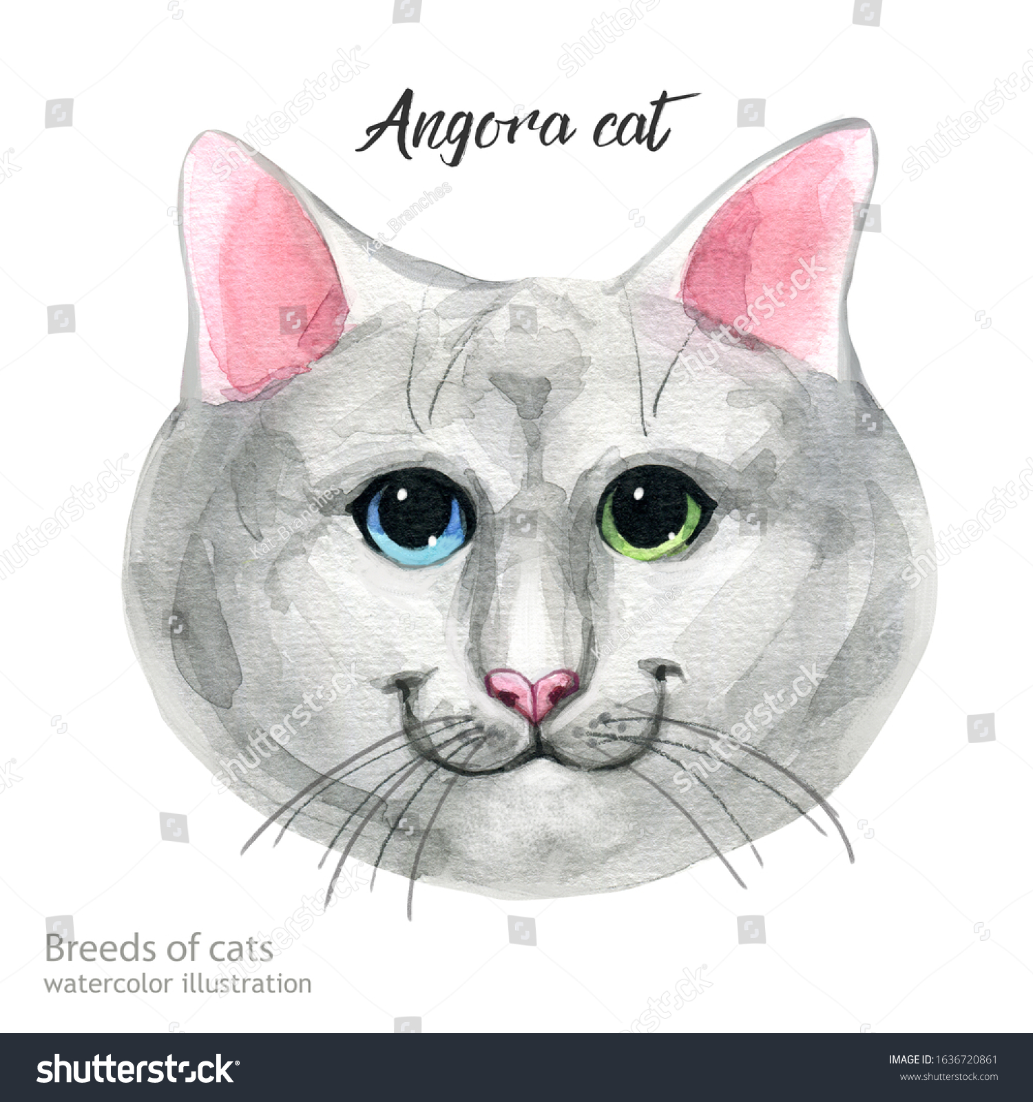 watercolor-cat-portrait-hand-drawn-illustration-stock-illustration