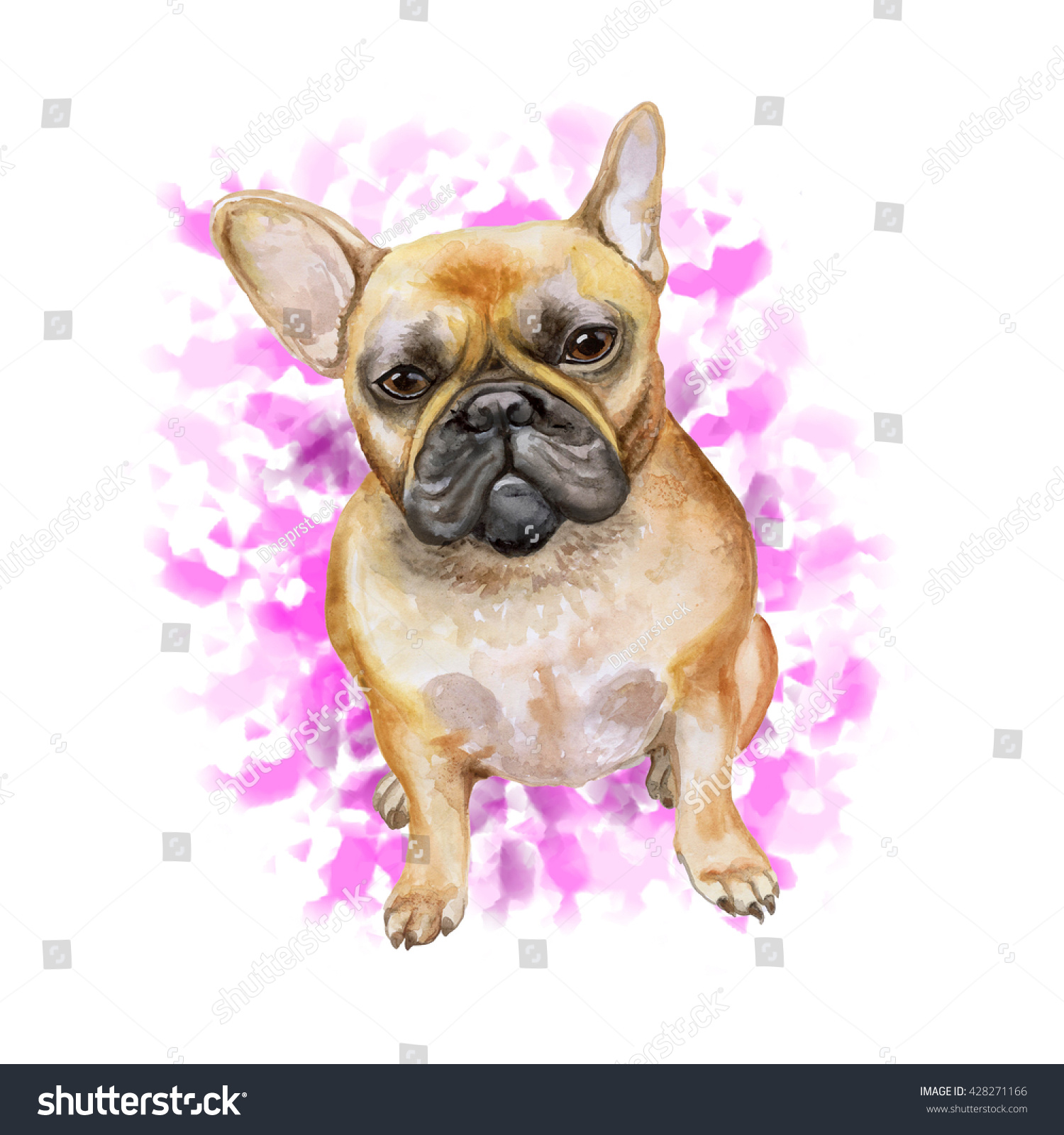 Watercolor Closeup Portrait French Bulldog Dog Stock Illustration