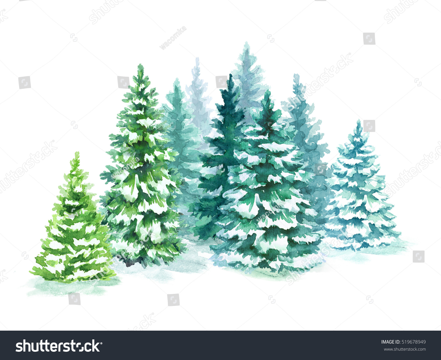 Watercolor Coniferous Forest Illustration Christmas Fir Stock