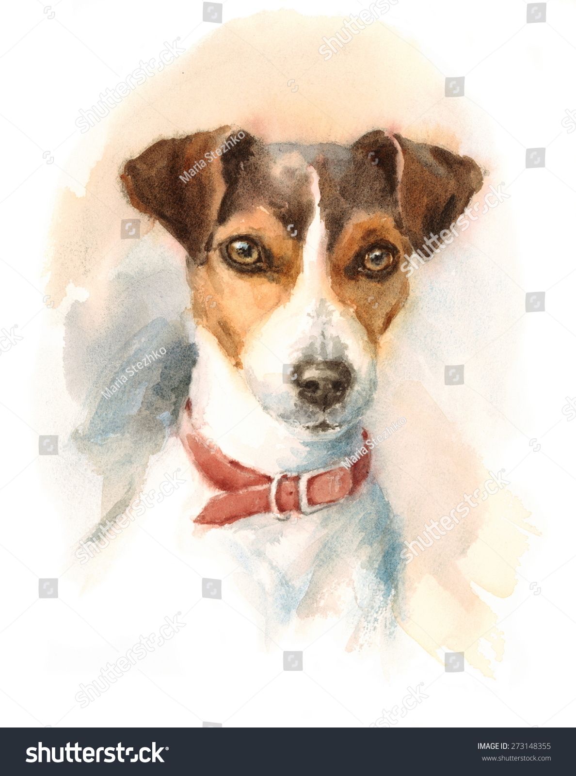 australian shepherd jack russell terrier watercolor dog jack russell terrier portrait stock illustration australian shepherd jack russell terrier watercolor dog jack russell terrier portrait stock illustration