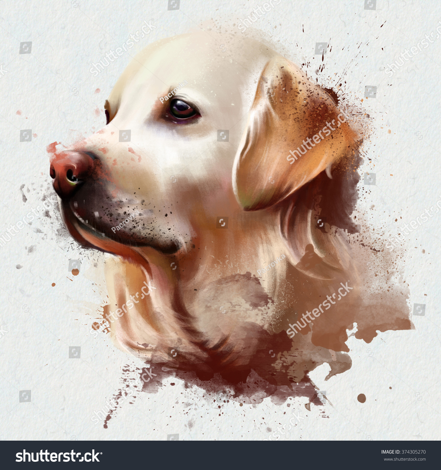 Watercolor Dog Spray Paint On White Stock Illustration 374305270 ...