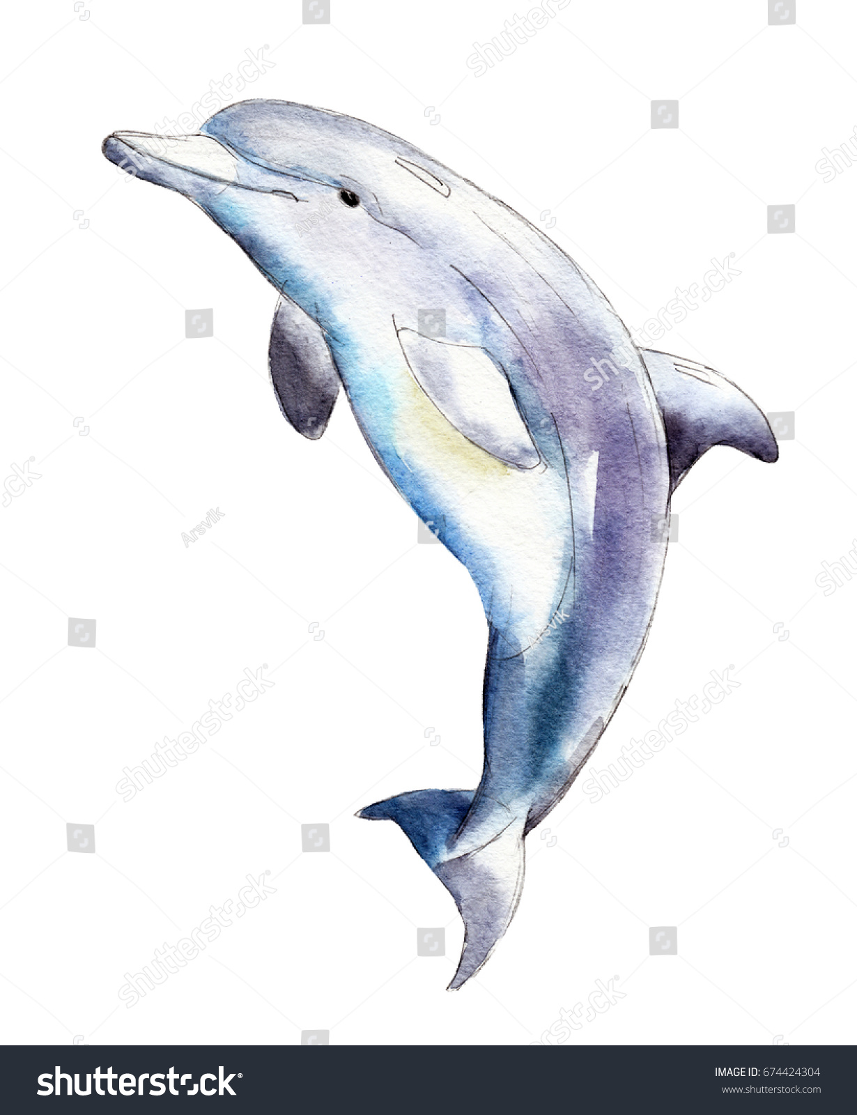 白い背景に水彩イルカ 手描きのイラスト のイラスト素材