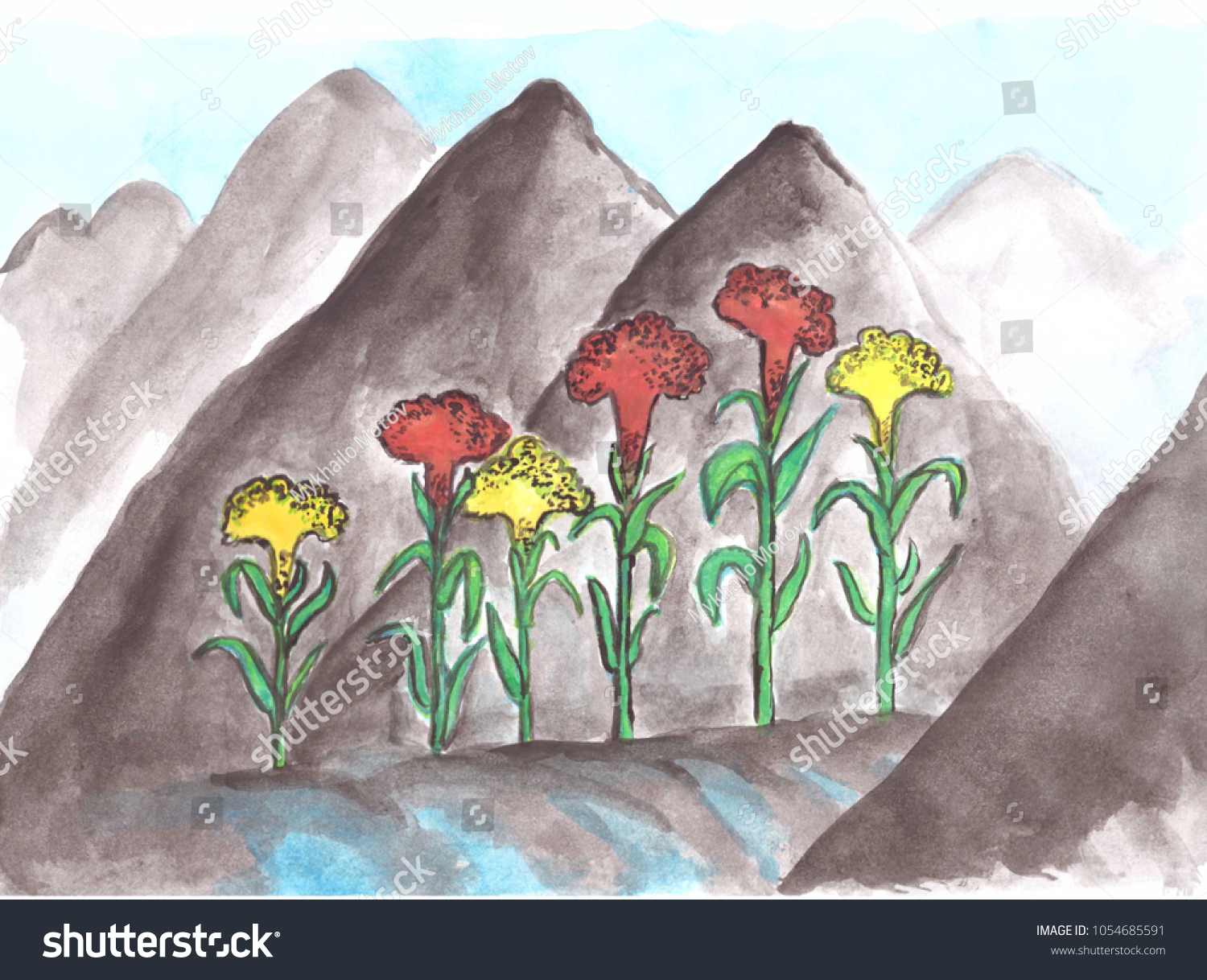 Watercolor Drawing Red Yellow Flowers Celosia Stock Illustration