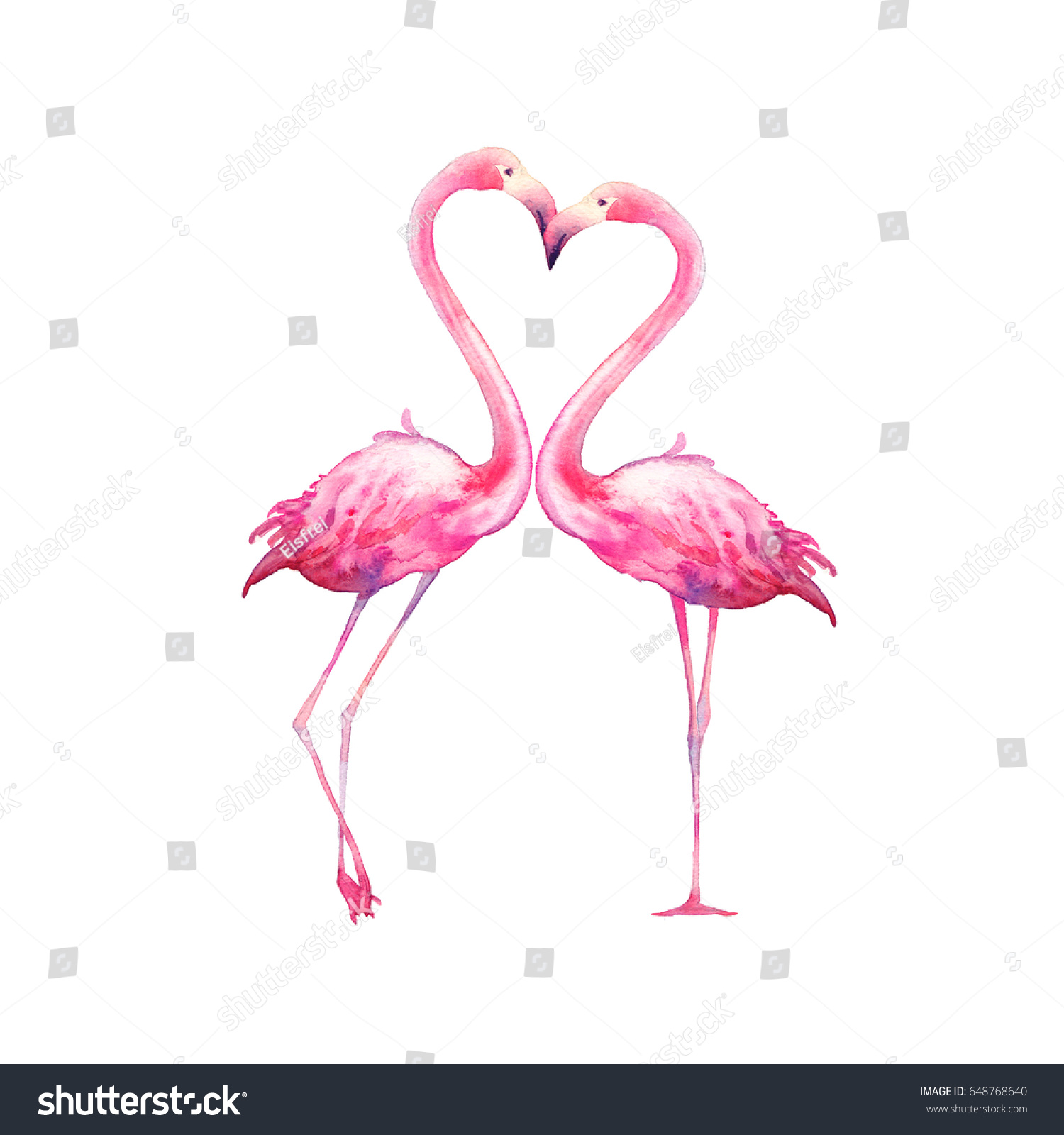 水彩フラミンゴ愛 白い背景に手描きの明るいエキゾチックな鳥のキス 動物のイラスト のイラスト素材