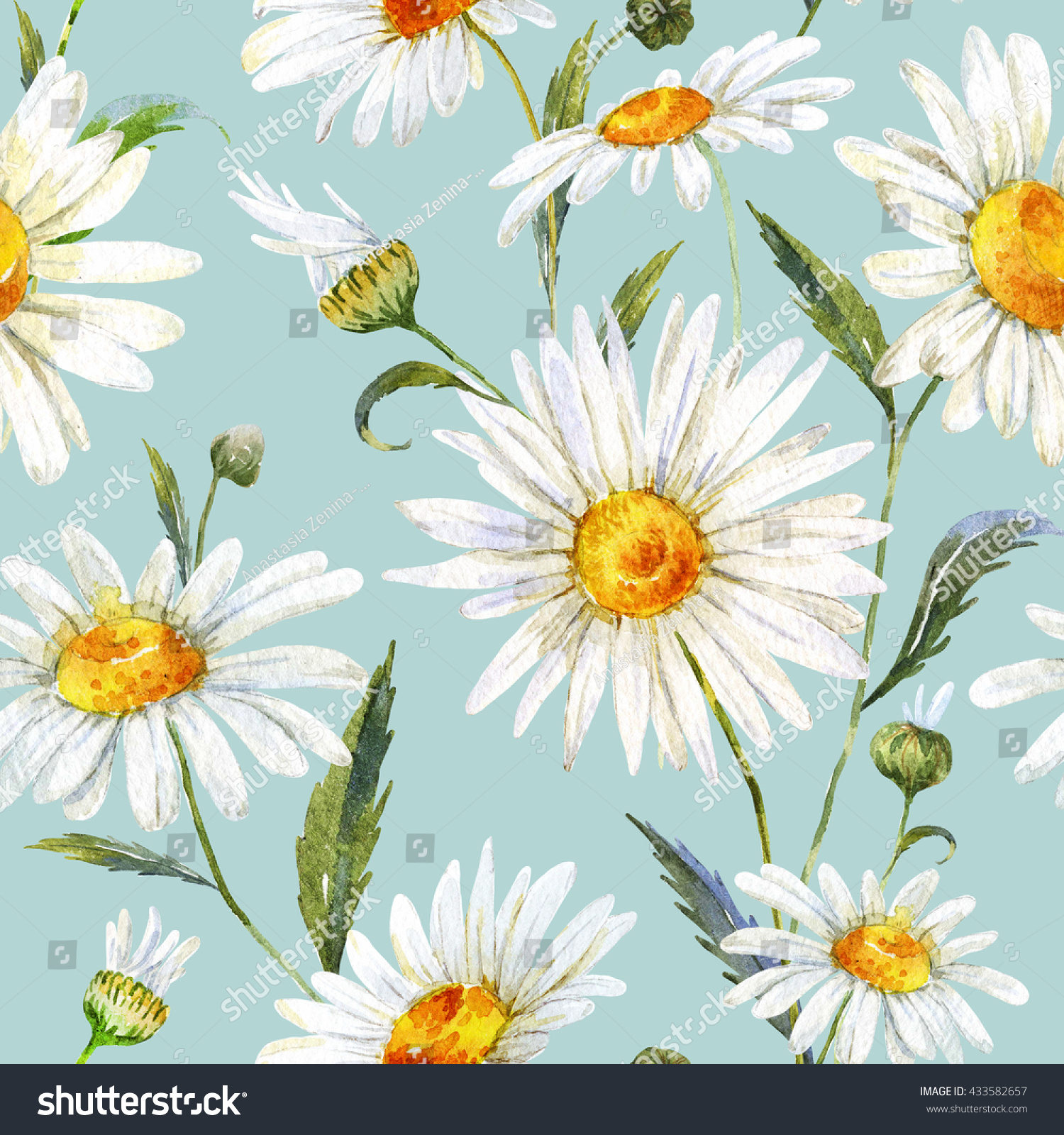 Watercolor Floral Pattern Daisy White Gentle Stock ...