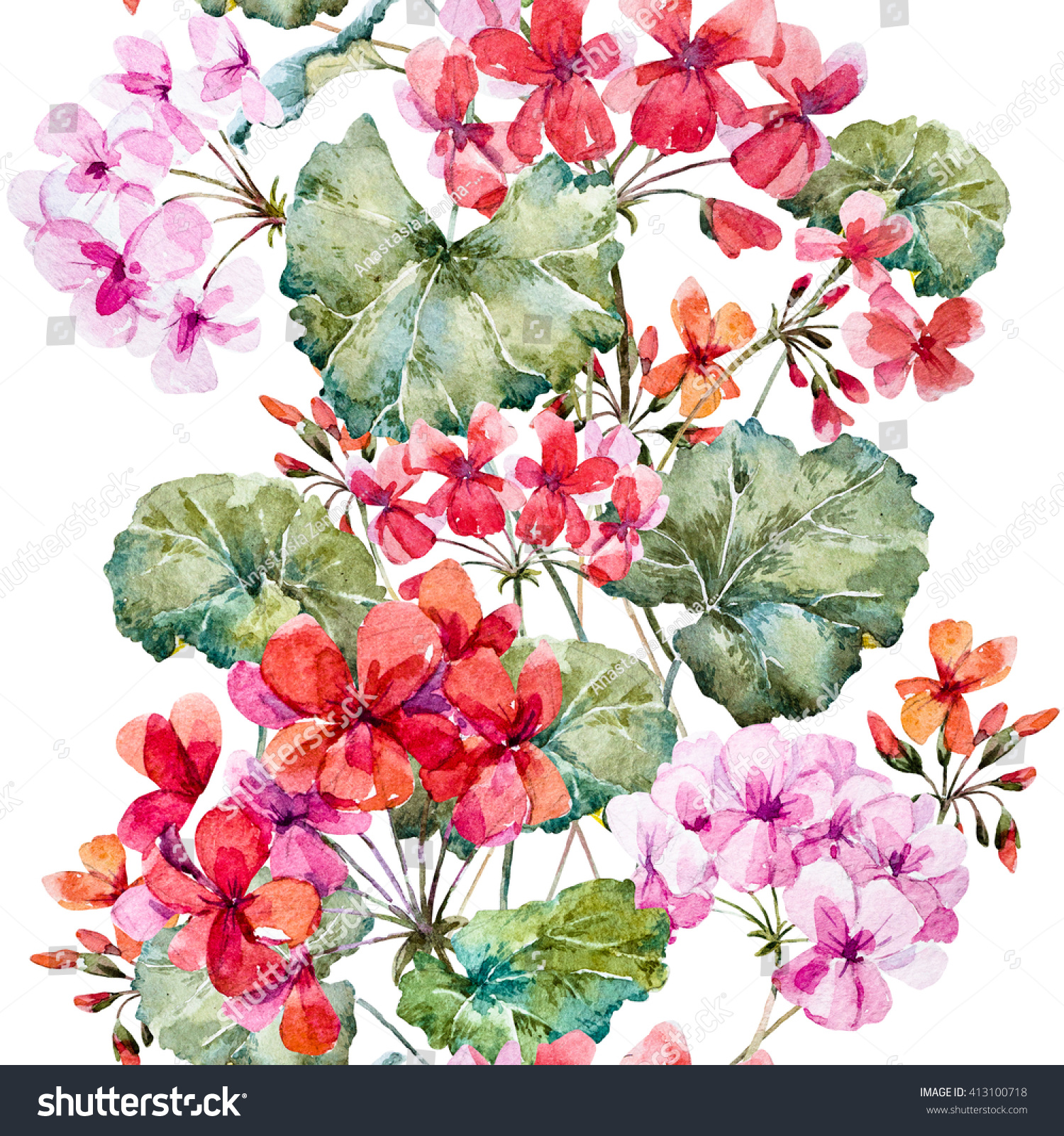 Watercolor Floral Pattern Geranium Delicate Floral Stock Illustration ...