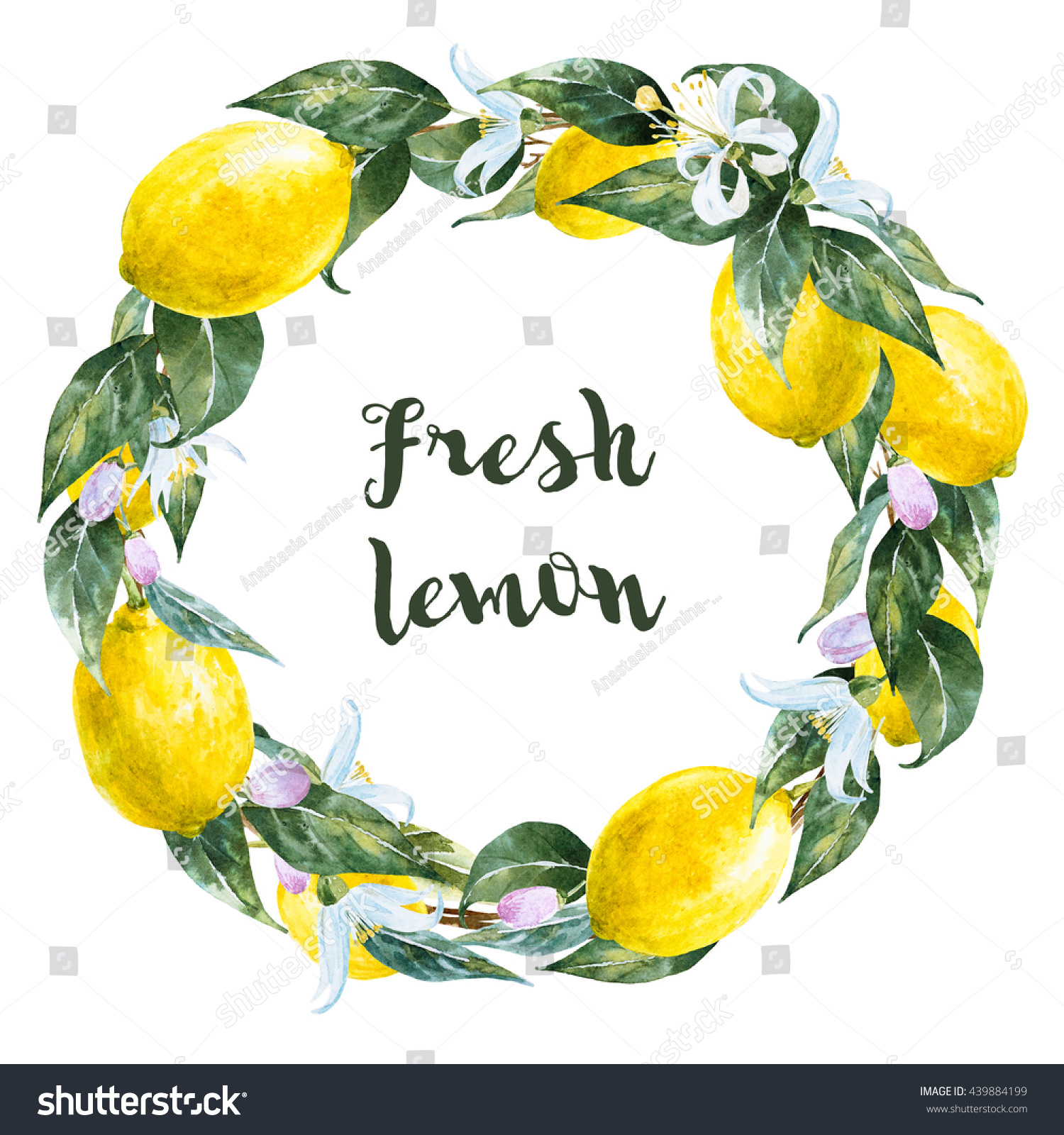 Watercolor Floral Wreath Lemon Fresh Lemon Stock Illustration 439884199 ...