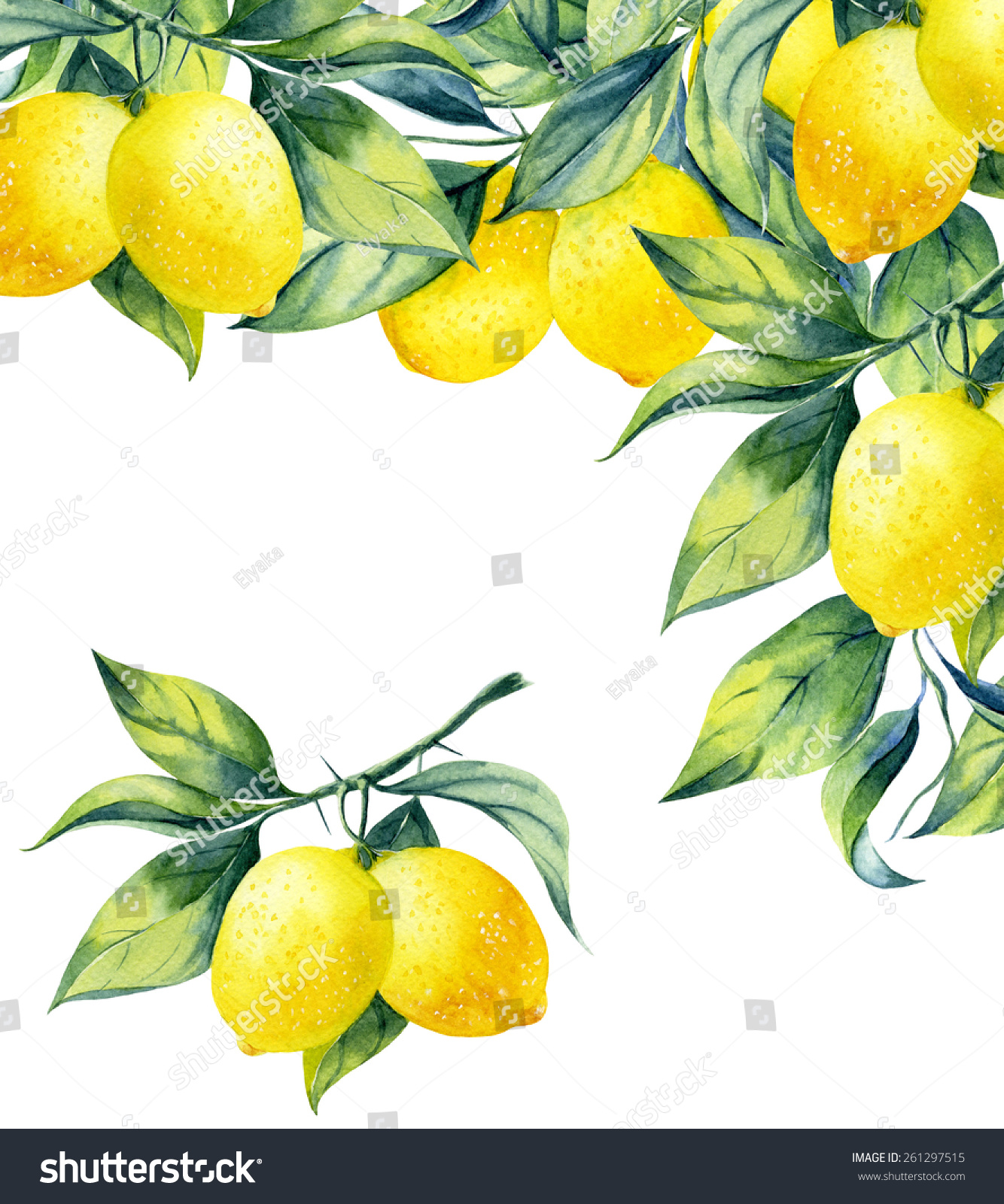 Watercolor Fruit Lemon Branch On White Stock Illustration 261297515 ...