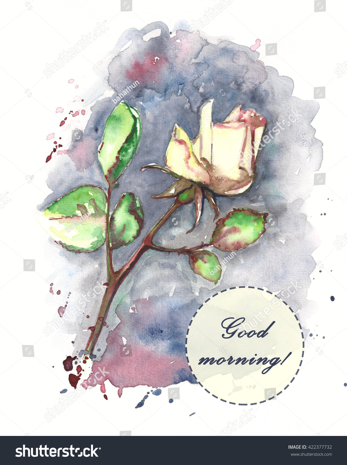 watercolor good morning card white rose stock illustration 422377732 https www shutterstock com image illustration watercolor good morning card white rose 422377732