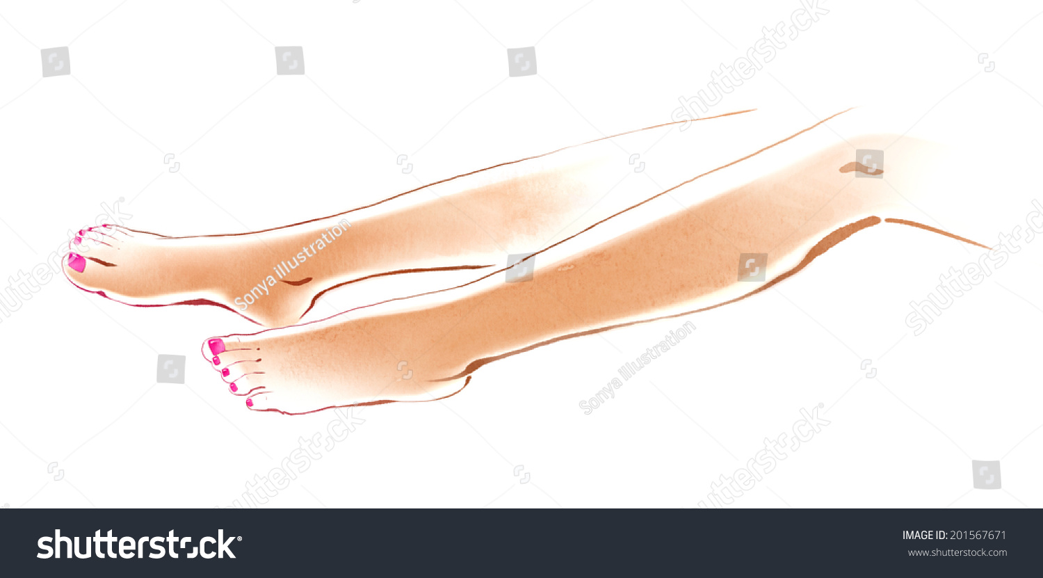 Watercolor Hand Drawn Illustration Female Legs Stock Illustration 201567671 