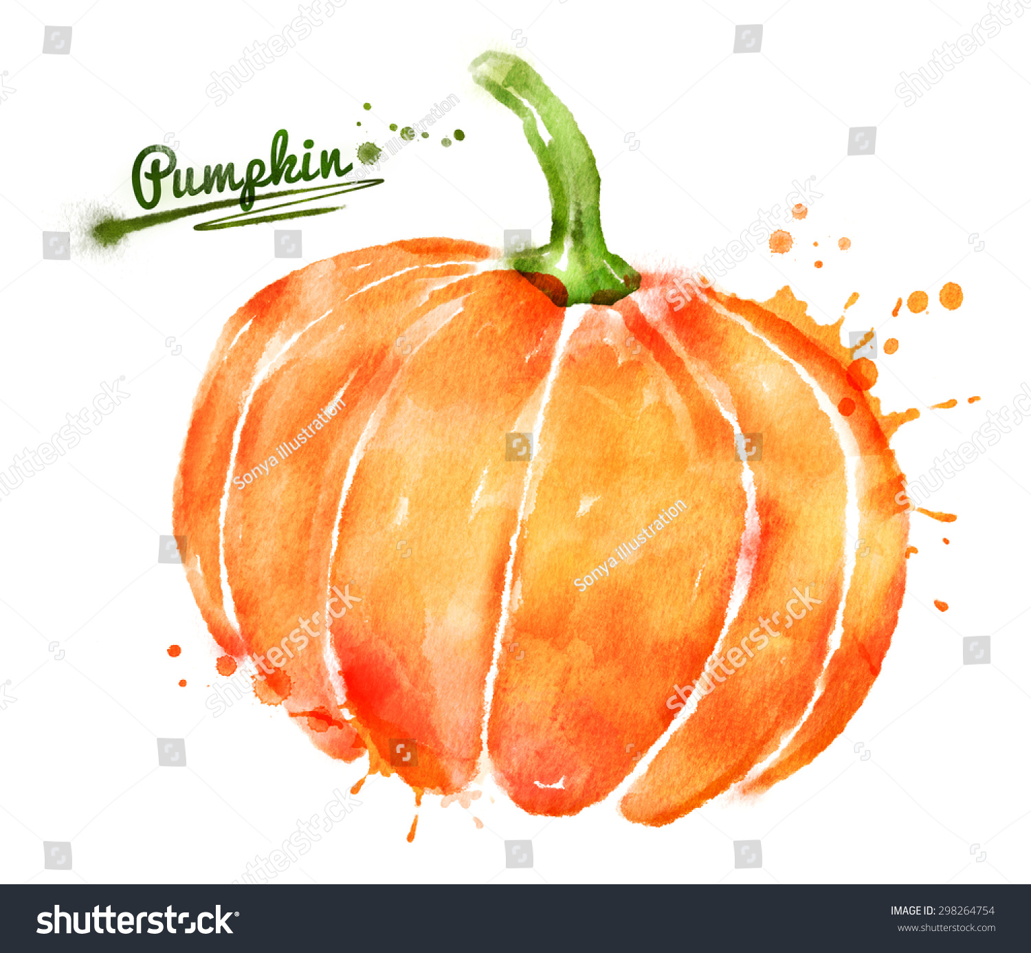 Pumpkin Orange Paint watercolor hand drawn illustration pumpkin paint stock Pumpkin Orange Paint watercolor hand drawn illustration pumpkin paint stock