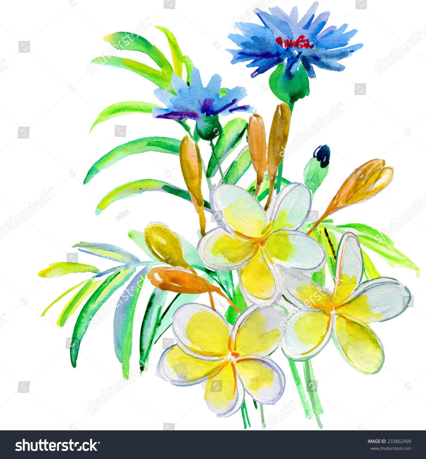 Watercolor Illustration Flower Bouquet Simple Background Stock Illustration 233862499
