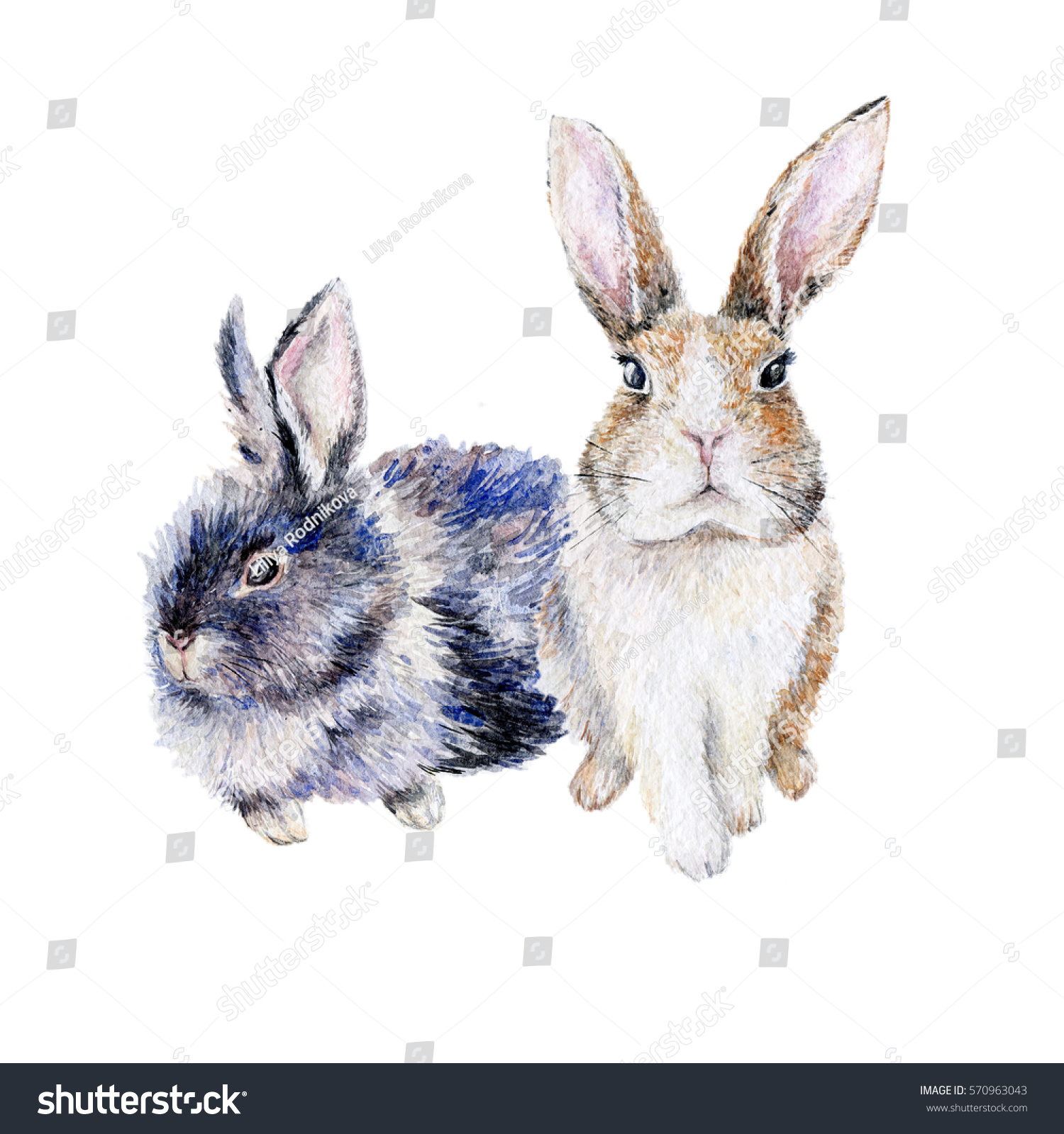 Watercolor Illustration Couple Cute Rabbits Isolated Stock Illustration 